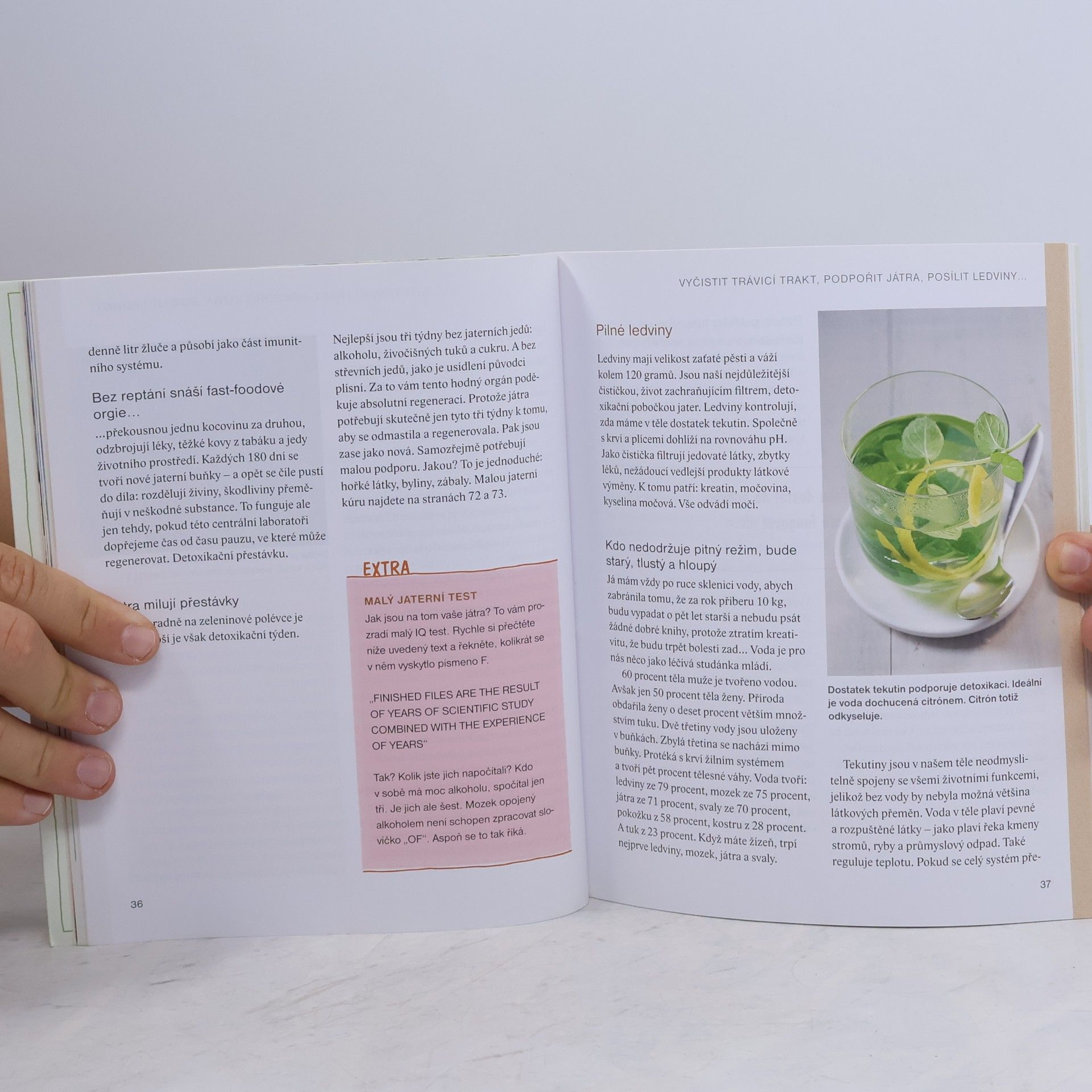 Marion Grillparzer Rychlý detox : 7denní detoxikační program