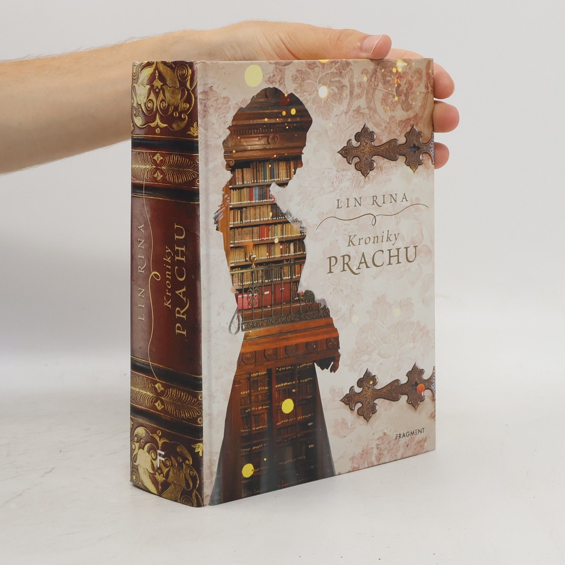 Lin Rina Kroniky prachu