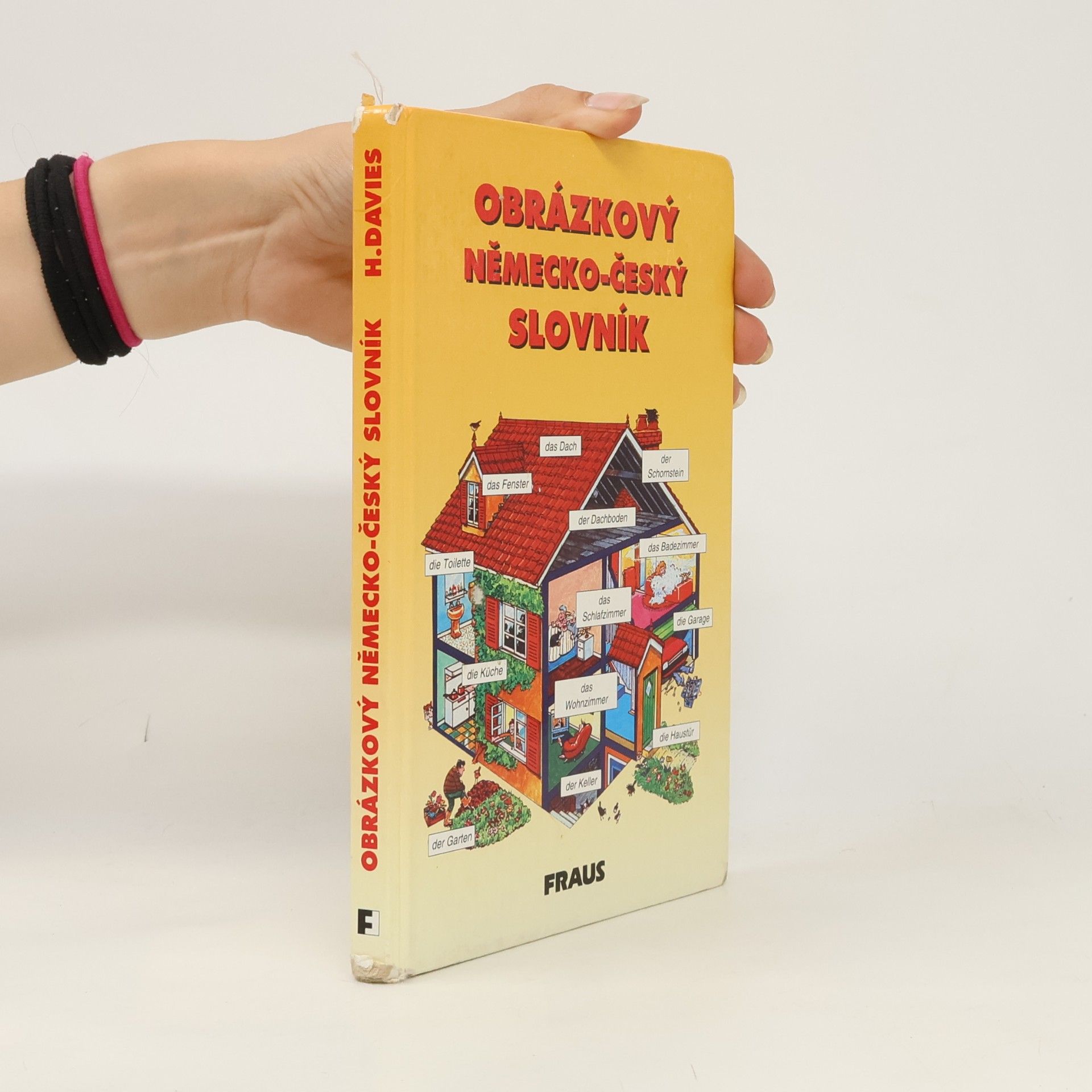 Helen Davies Obrázkový německo-český slovník