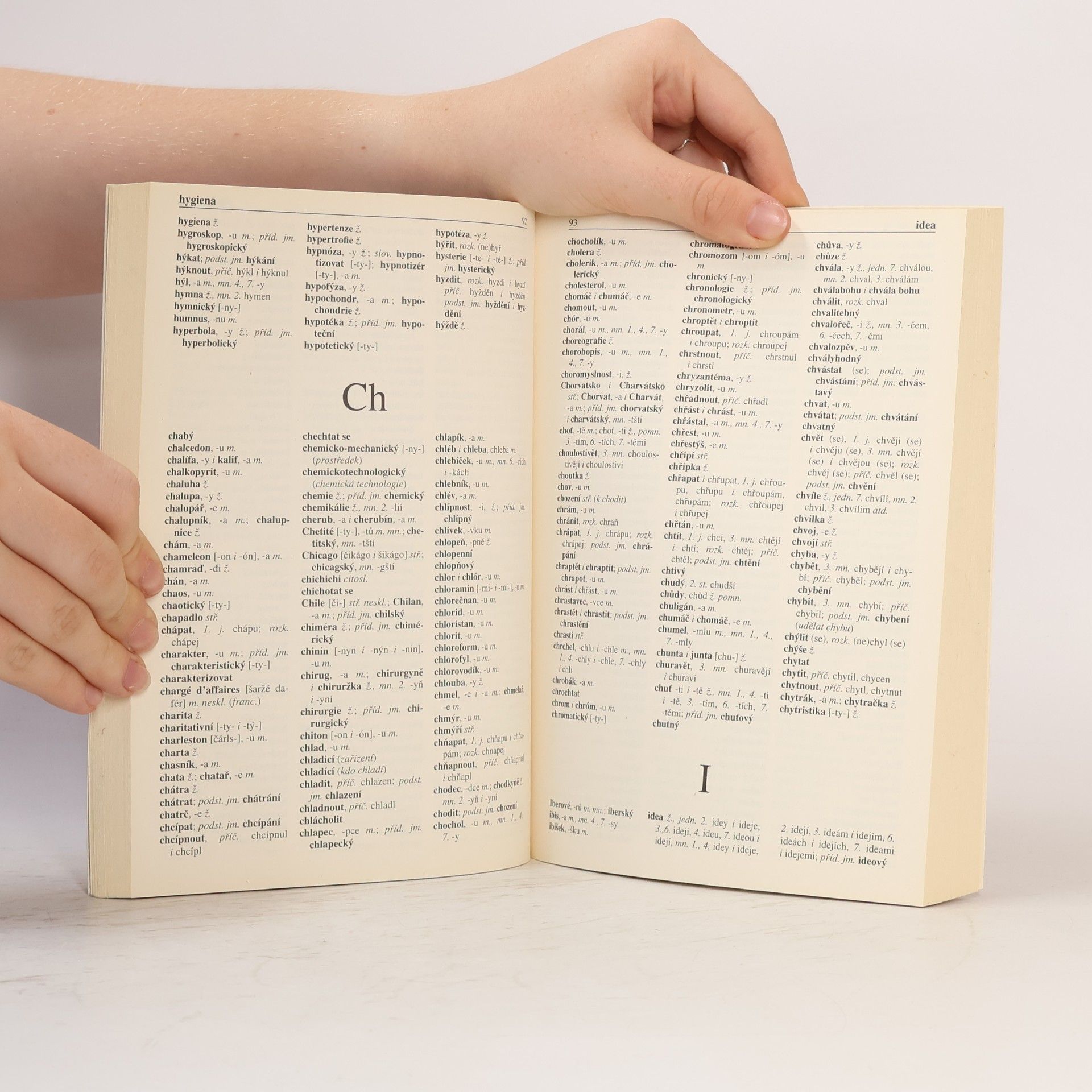 Autorenkollektiv Pravidla českého pravopisu