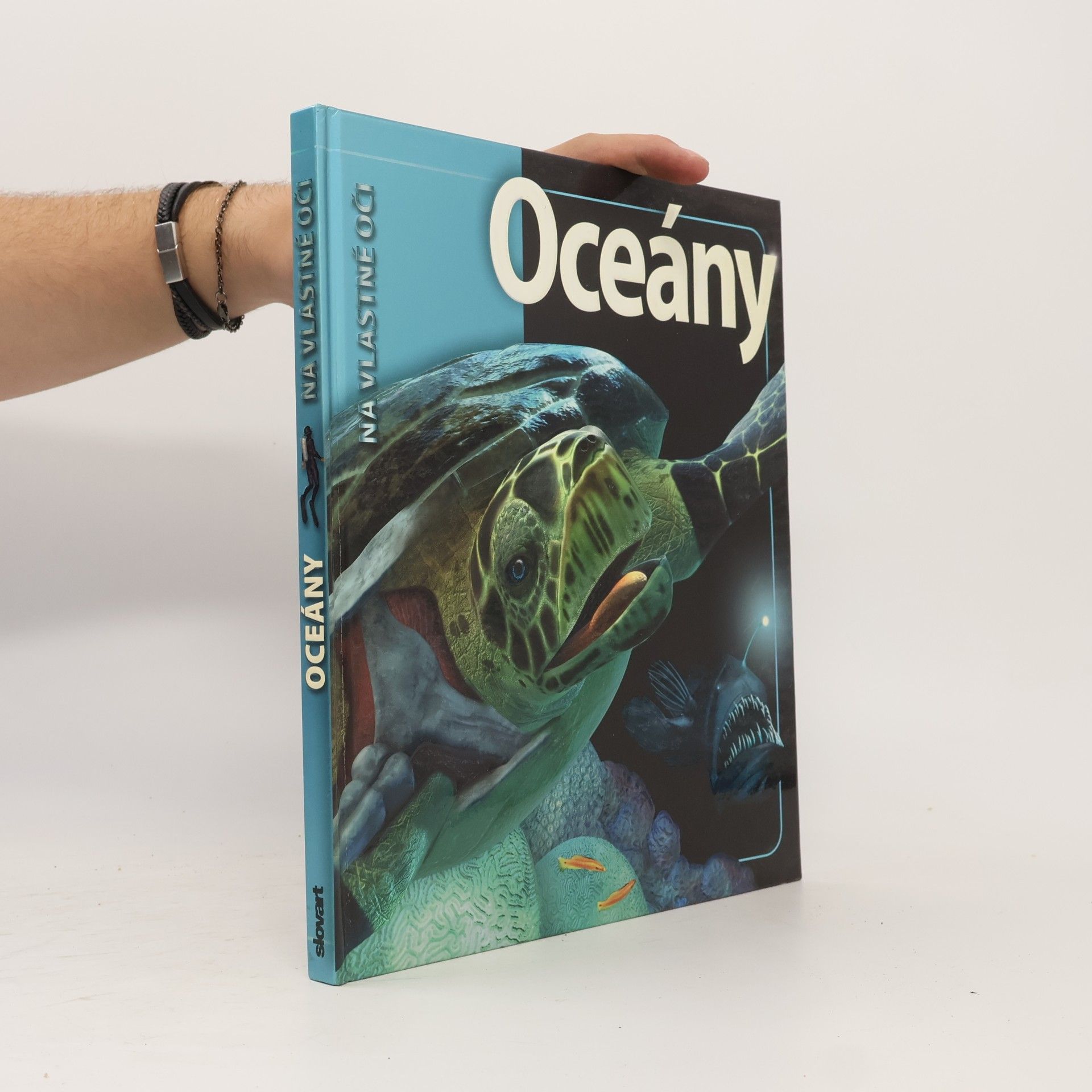 Beverly McMillan Oceány