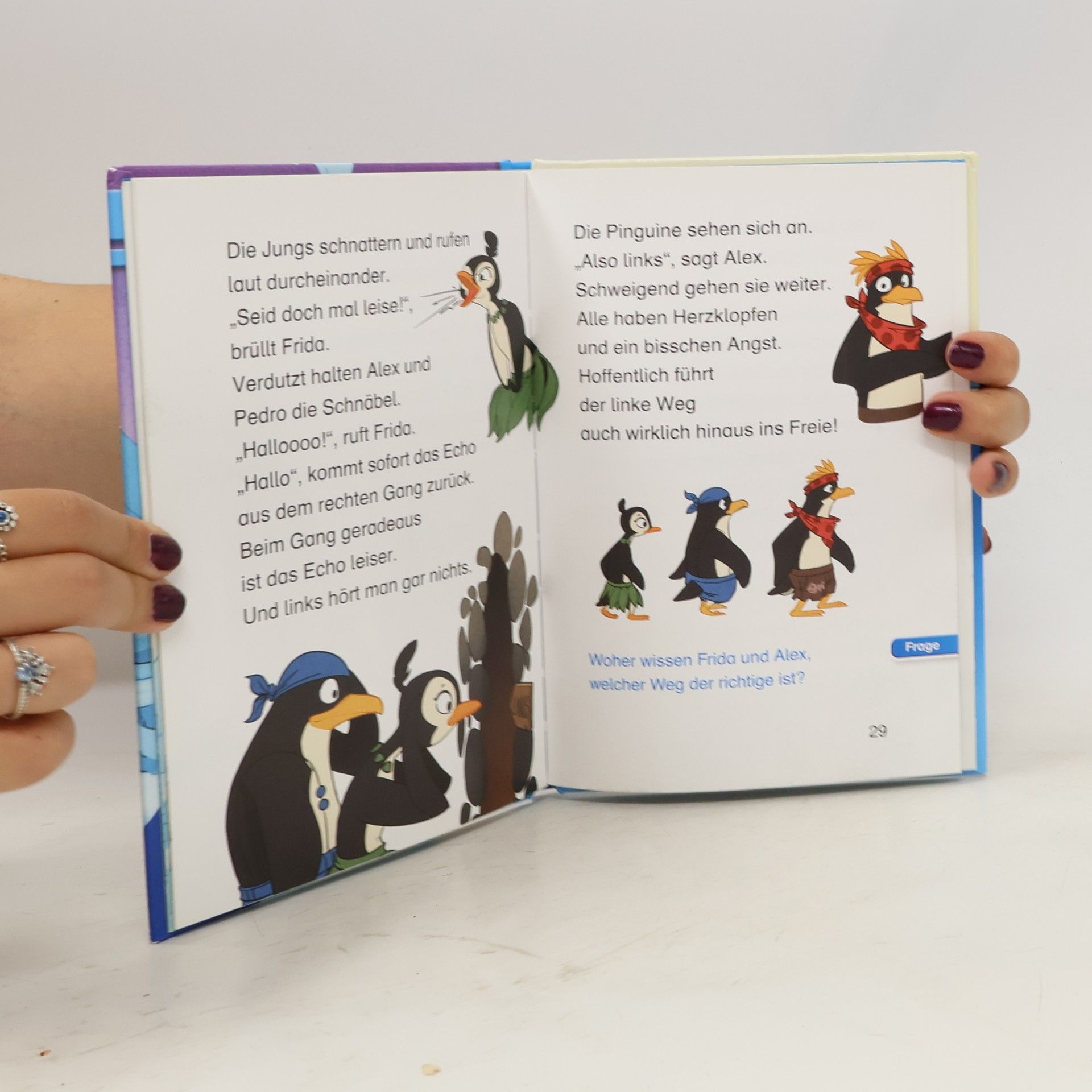 Henriette Wich Die Pinguin-Piraten