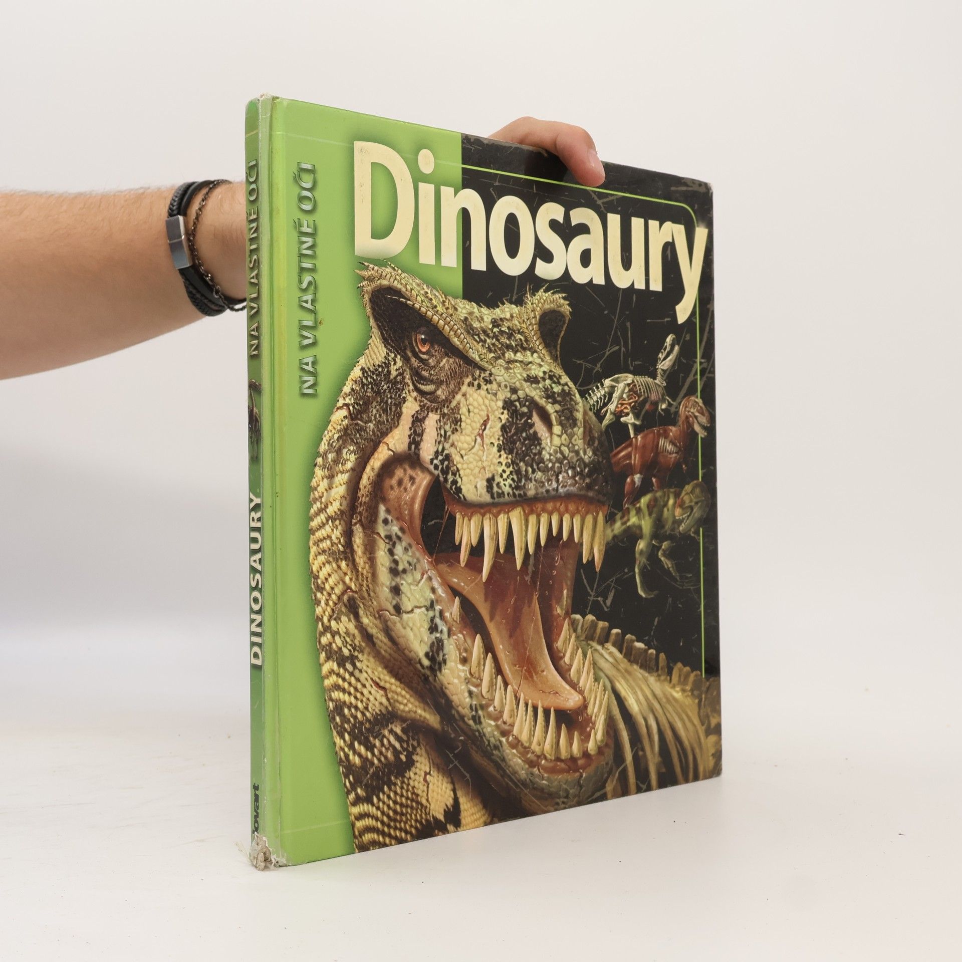 Autorenkollektiv Dinosaury