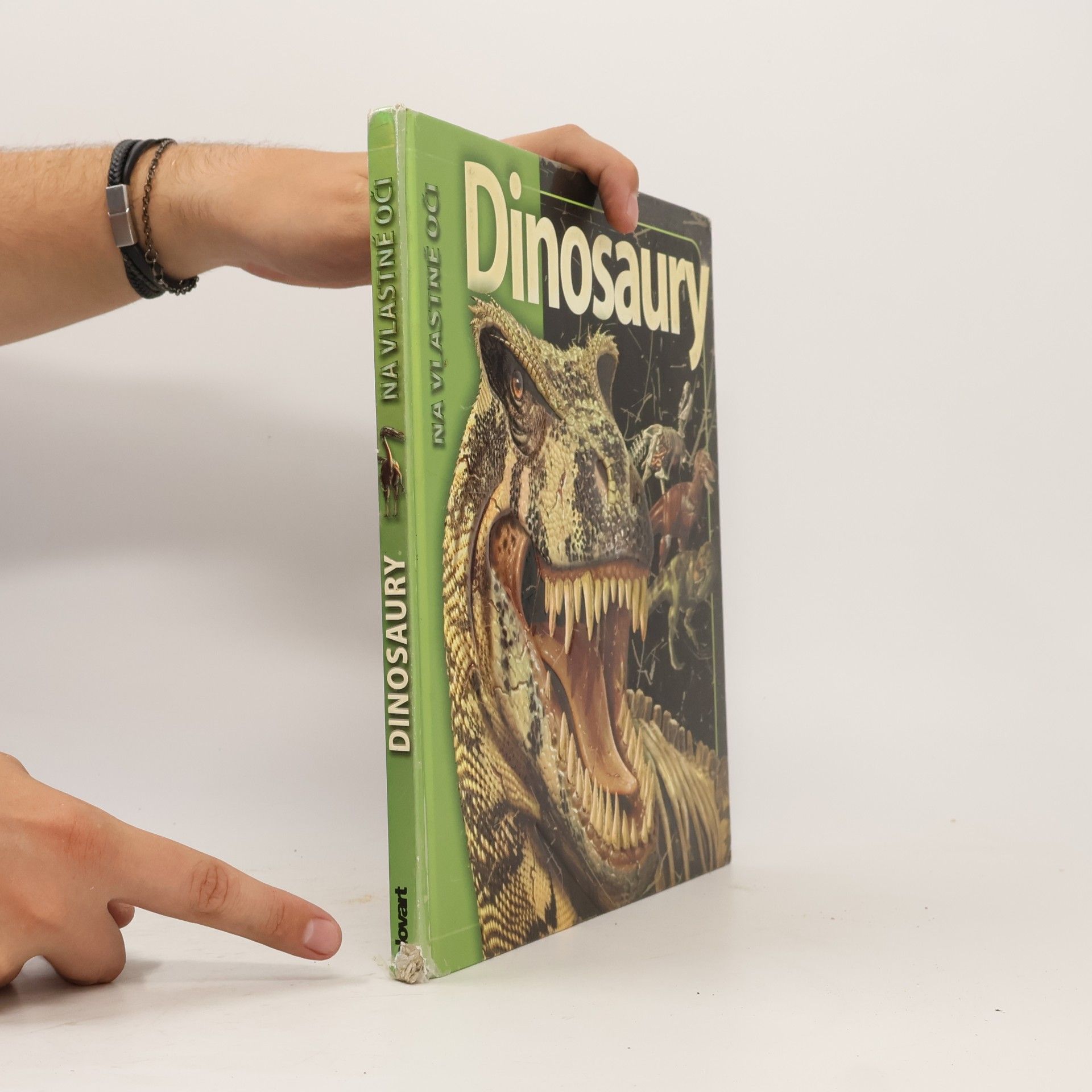 Autorenkollektiv Dinosaury
