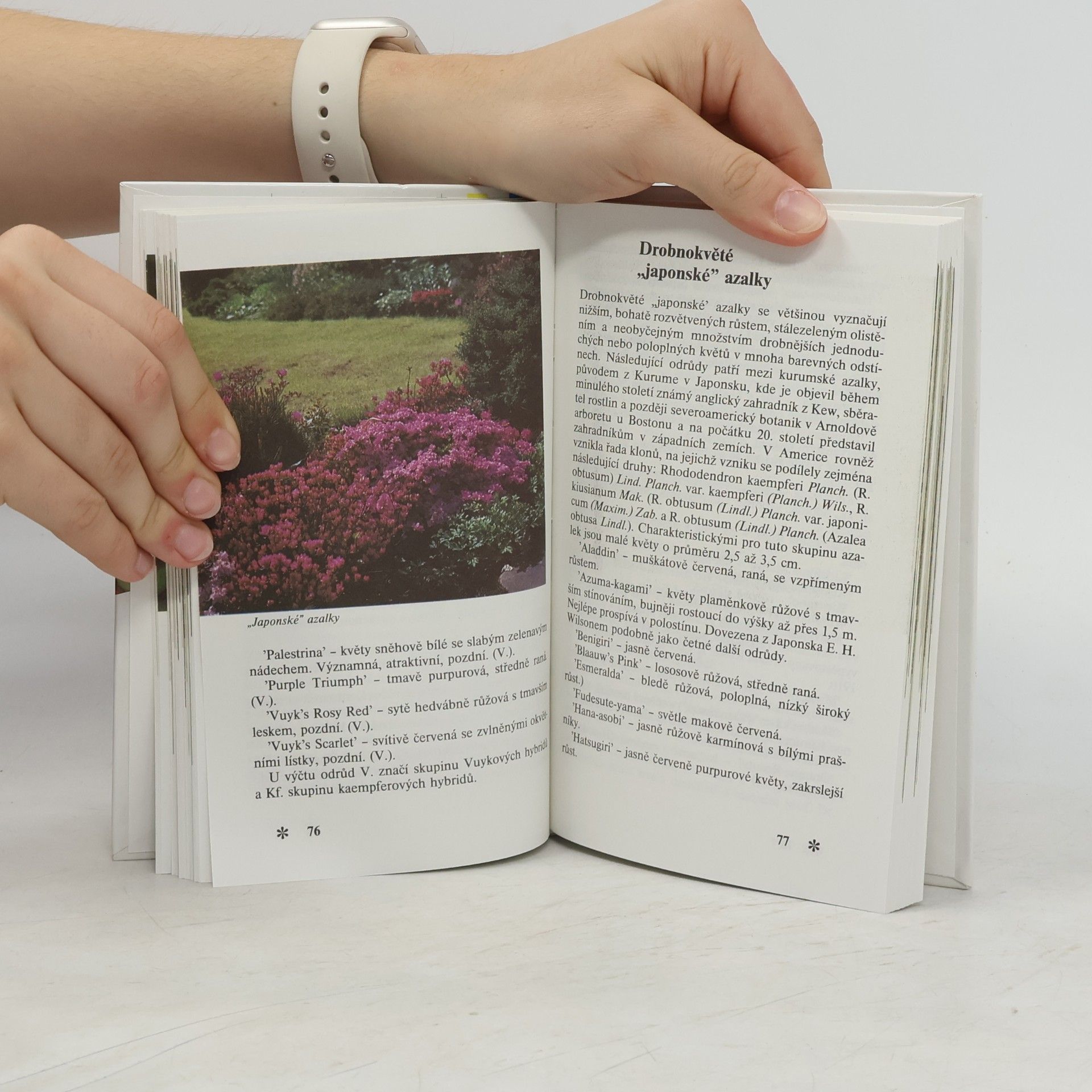 Cestmír Böhm Rododendrony a další vřesovcovité rostliny