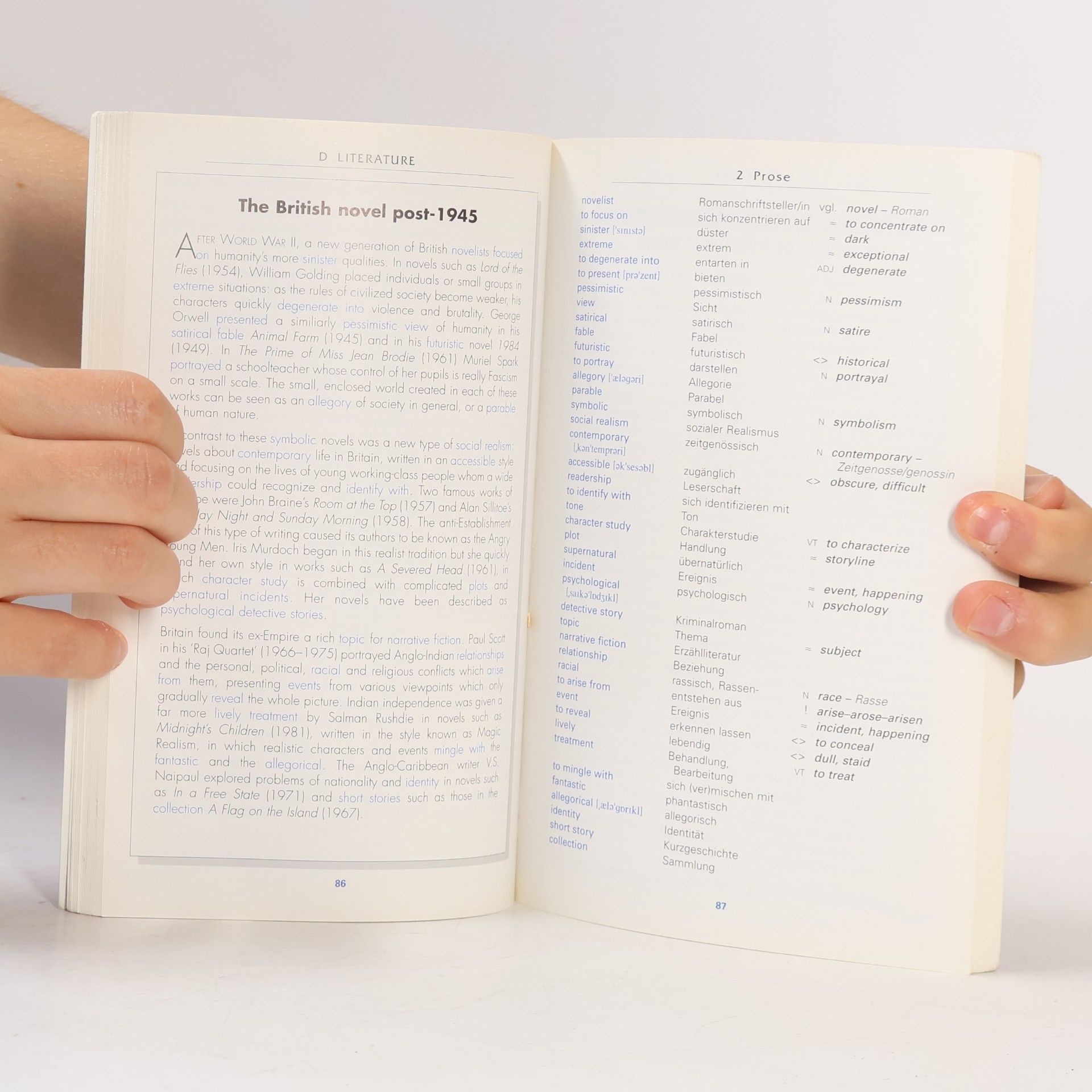 Steve Williams Focus on Vocabulary. Thematischer Wortschatz in Texten