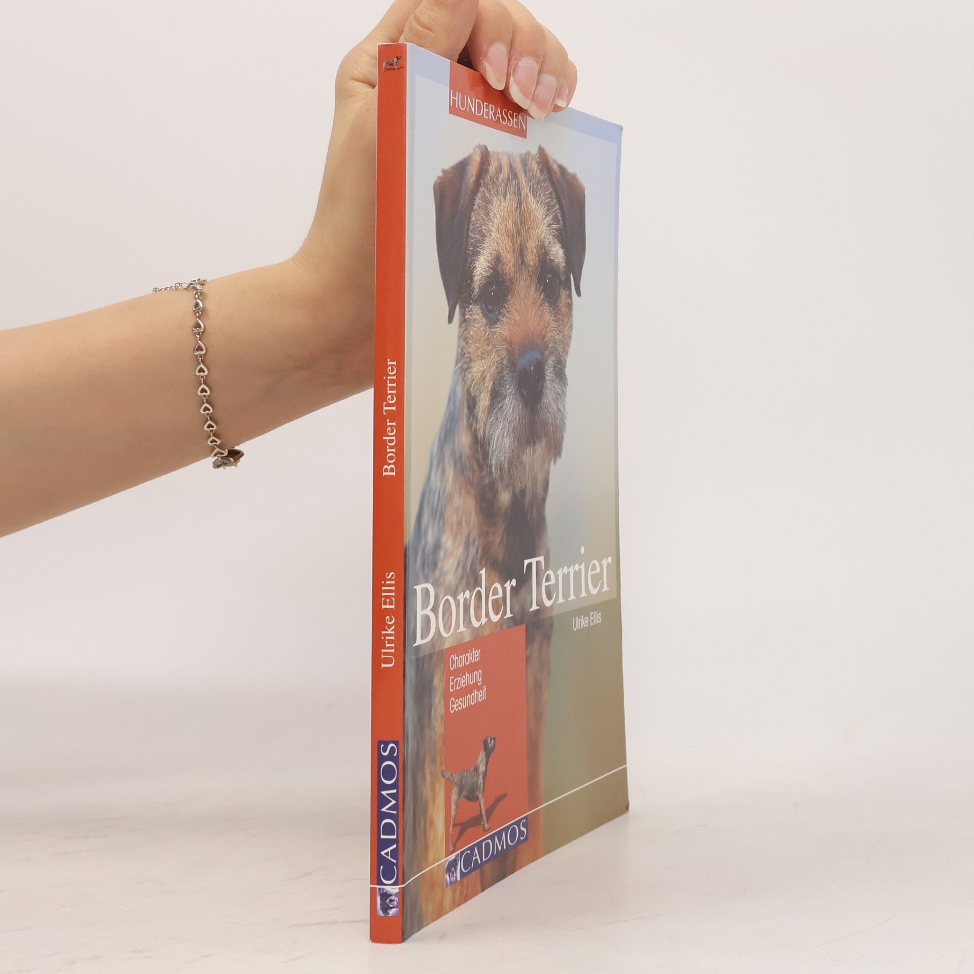 Ulrike Ellis Border-Terrier