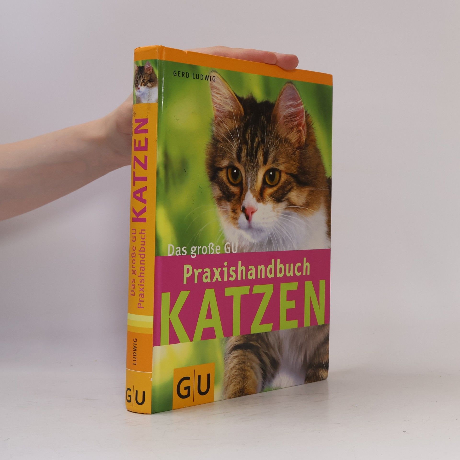Gerd Ludwig Das große GU-Praxishandbuch Katzen
