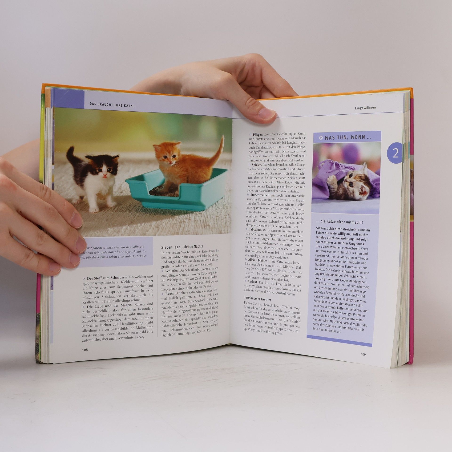 Gerd Ludwig Das große GU-Praxishandbuch Katzen