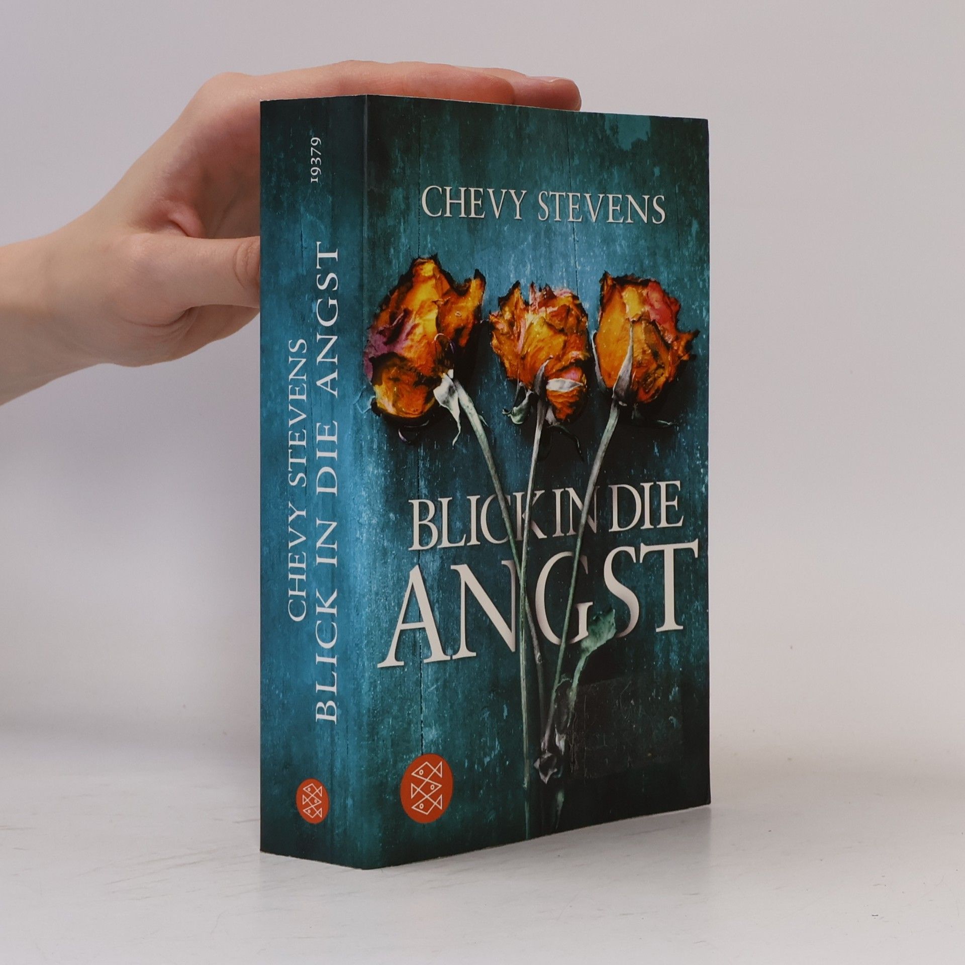 Chevy Stevens Blick in die Angst