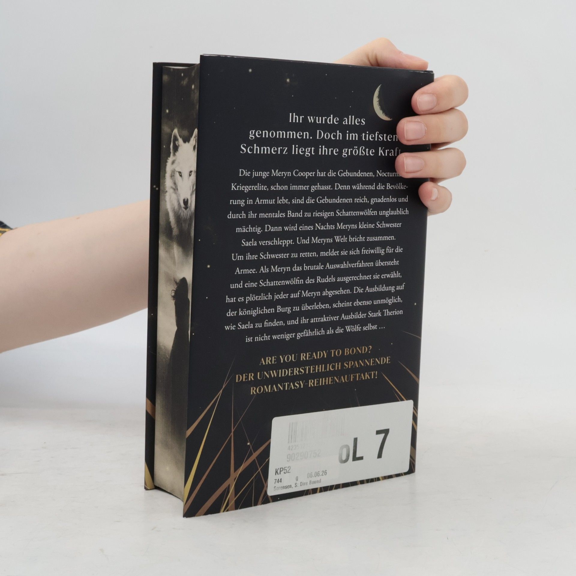Sable Sorensen Die Wolves-of-Ruin Reihe - 1: Dire Bound