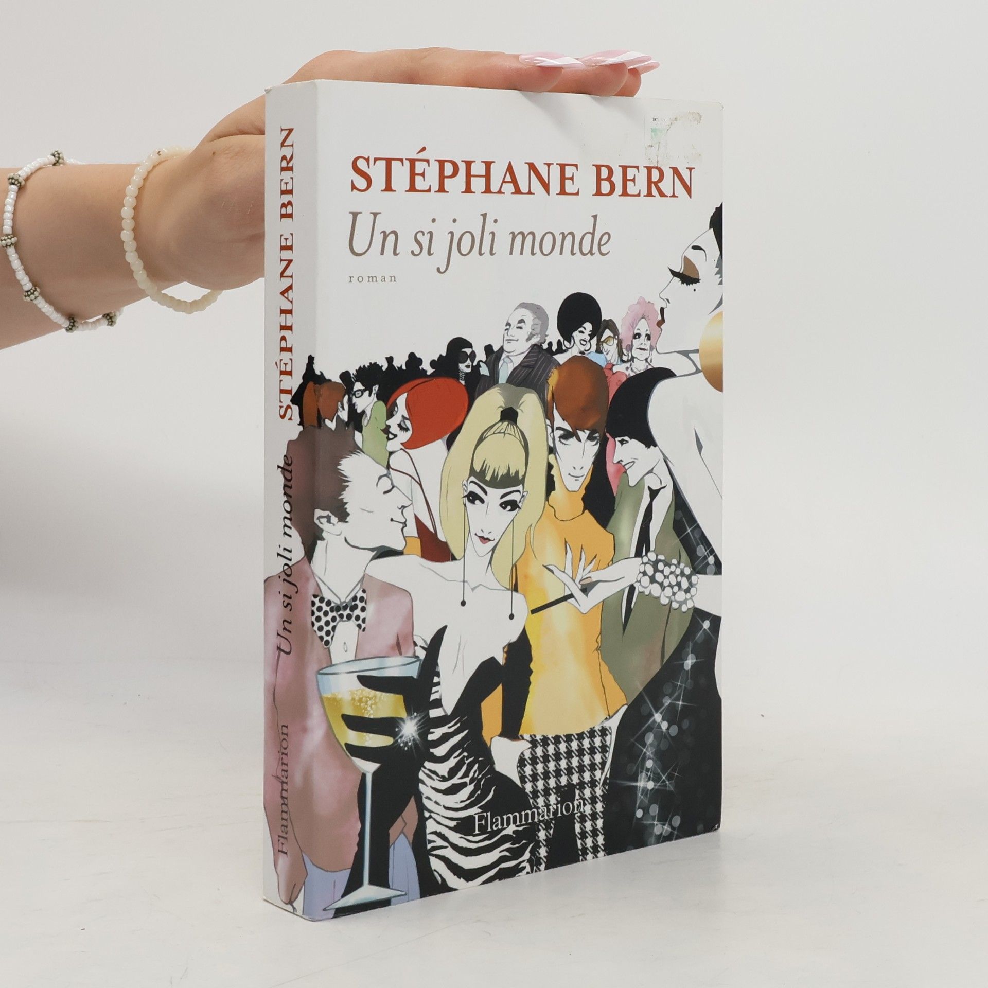 Stéphane Bern Un si joli monde