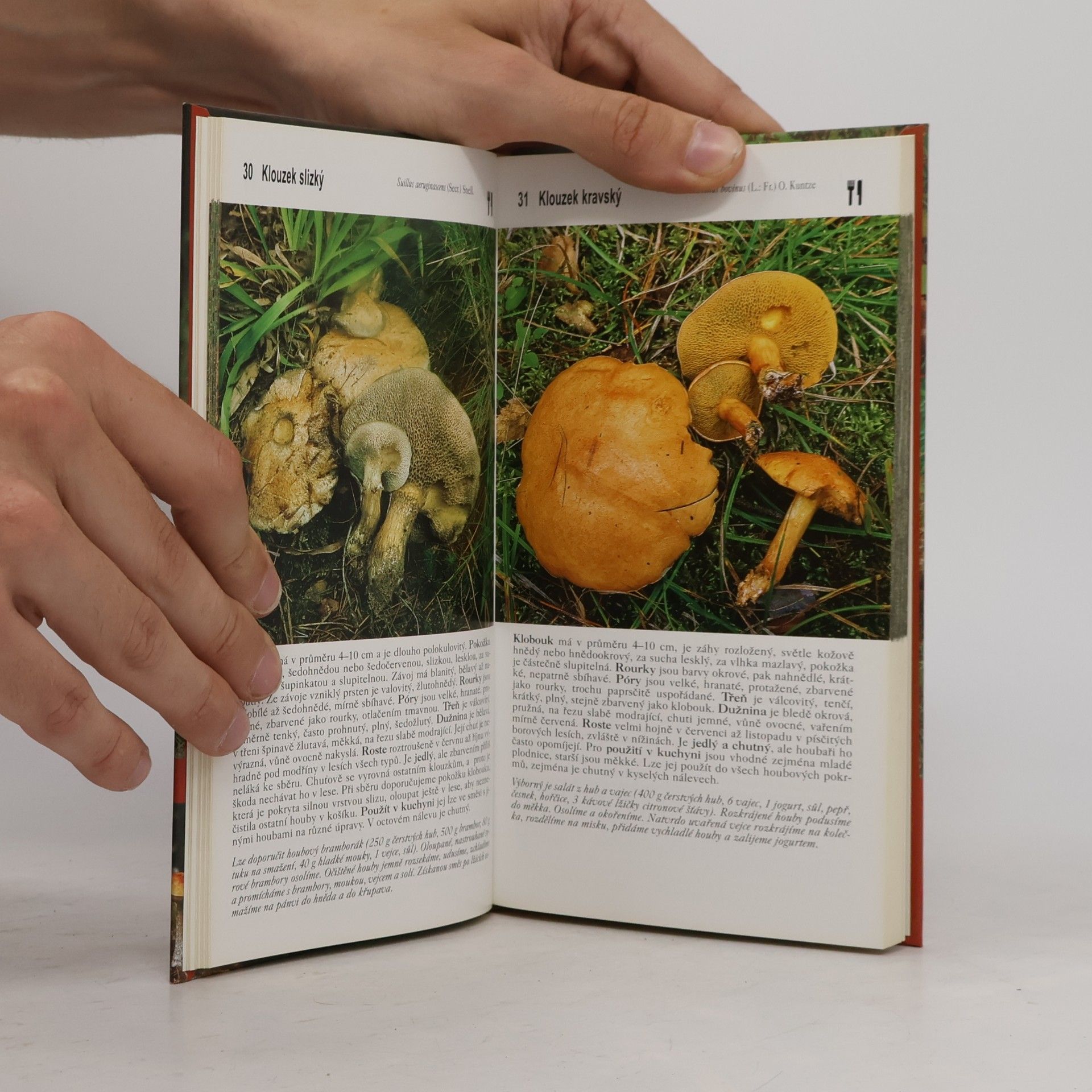 Miroslav Smotlacha Houbařský atlas