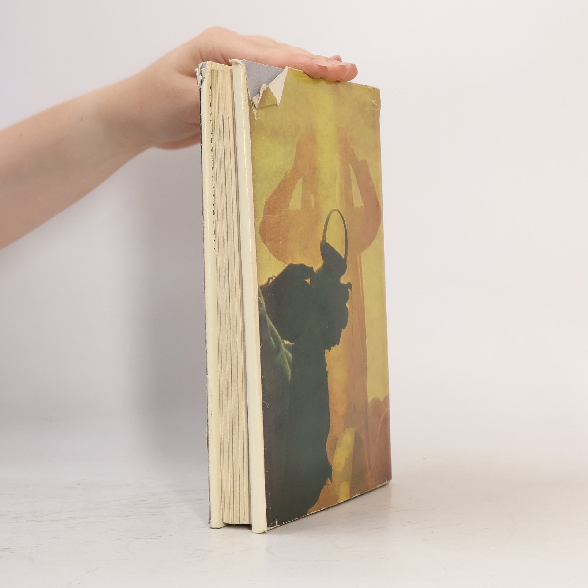 Bohuslav Šnajder Tulákem po všech polednících