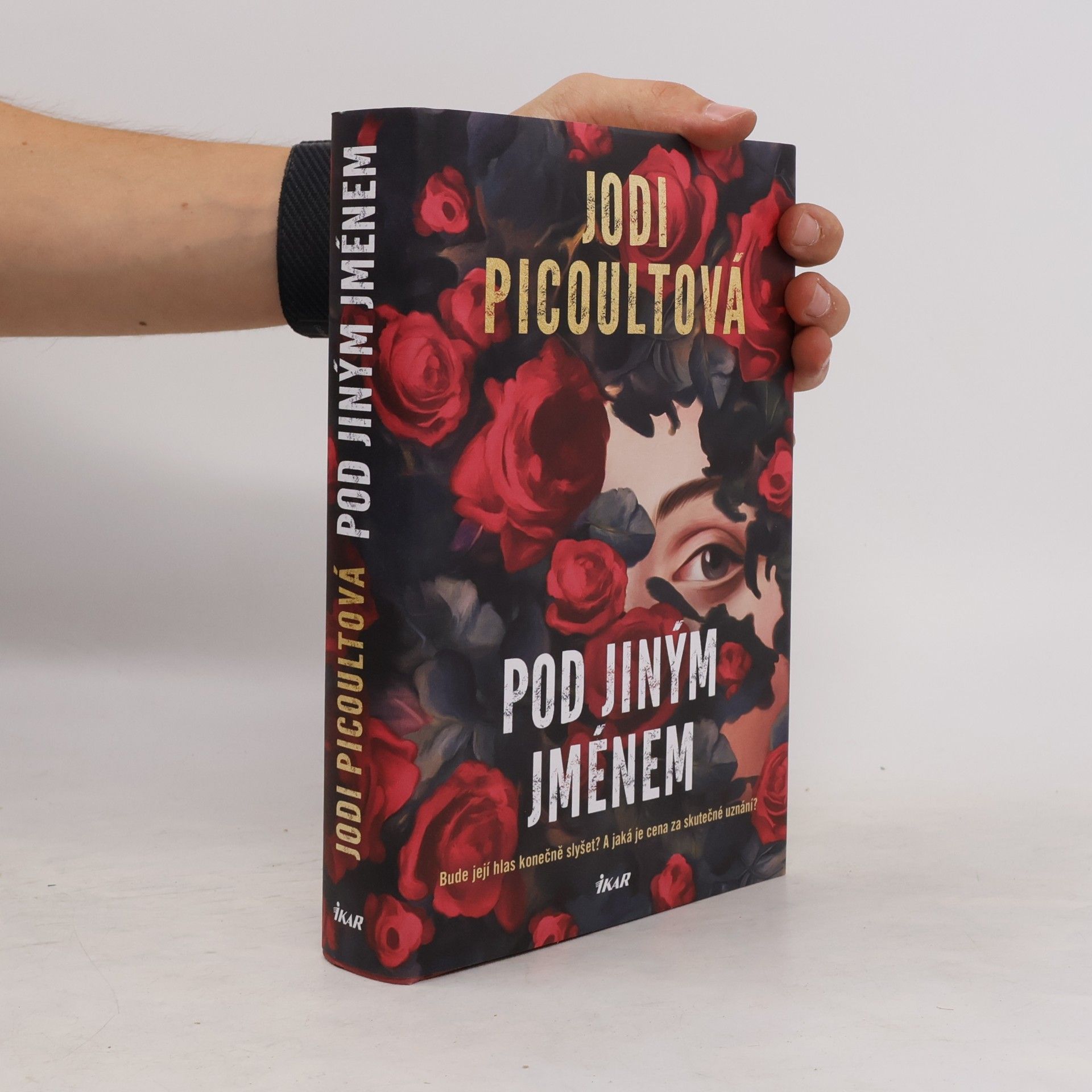 Jodi Picoult Pod jiným jménem