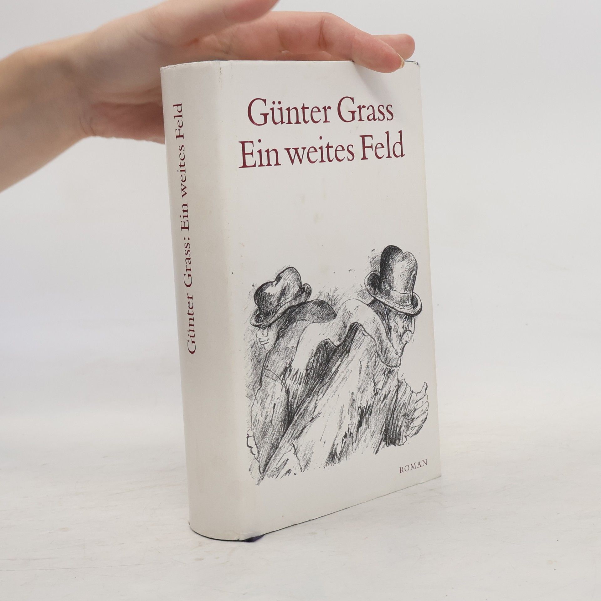 Günter Grass Ein weites Feld