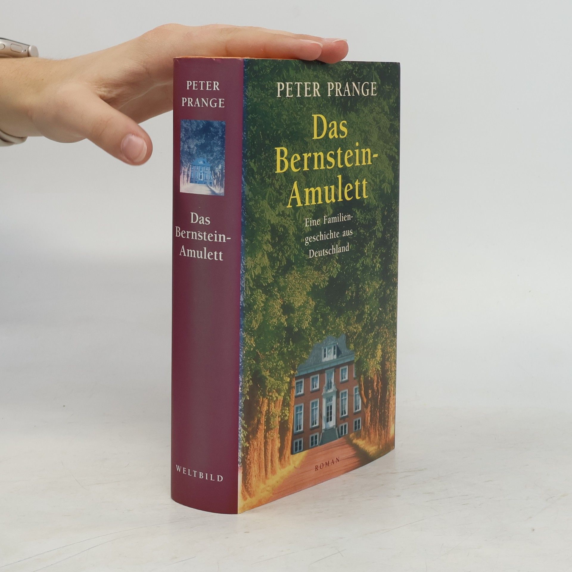 Das Bernstein-Amulett