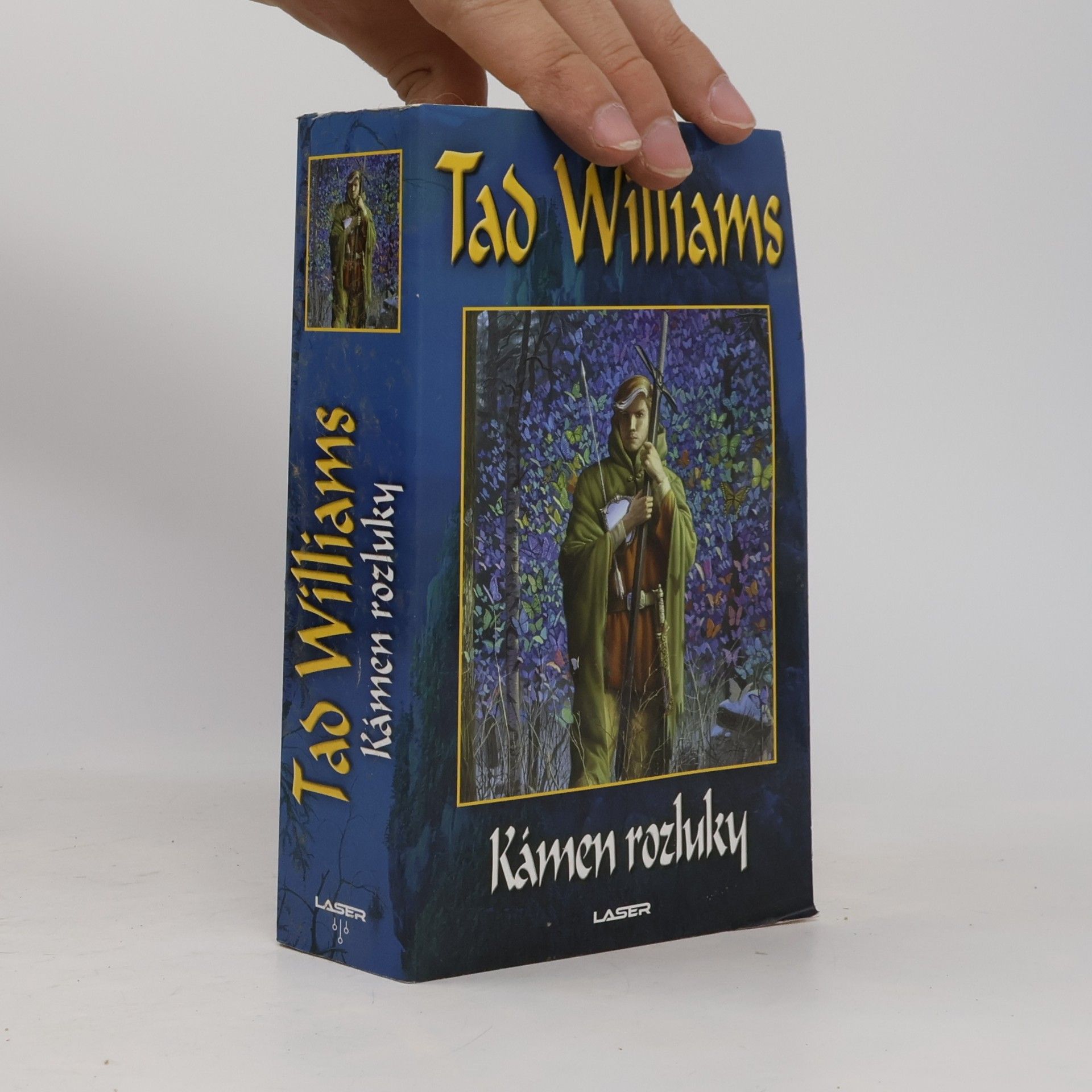 Tad Williams Kámen rozluky