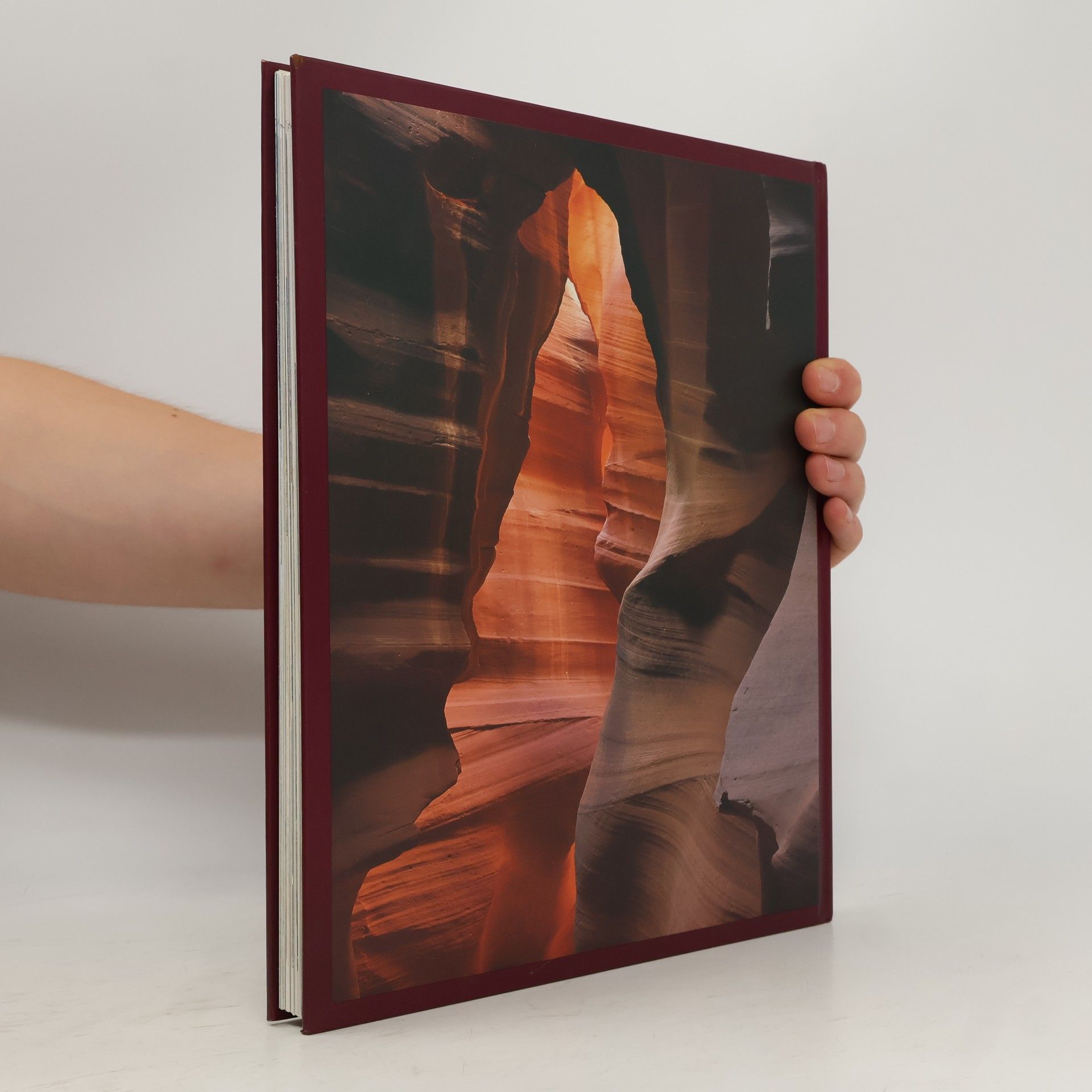 Collectif d'auteurs Meisterwerke der Natur