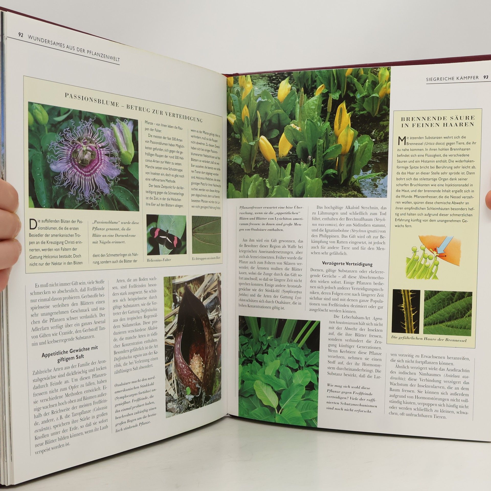 Collectif d'auteurs Meisterwerke der Natur
