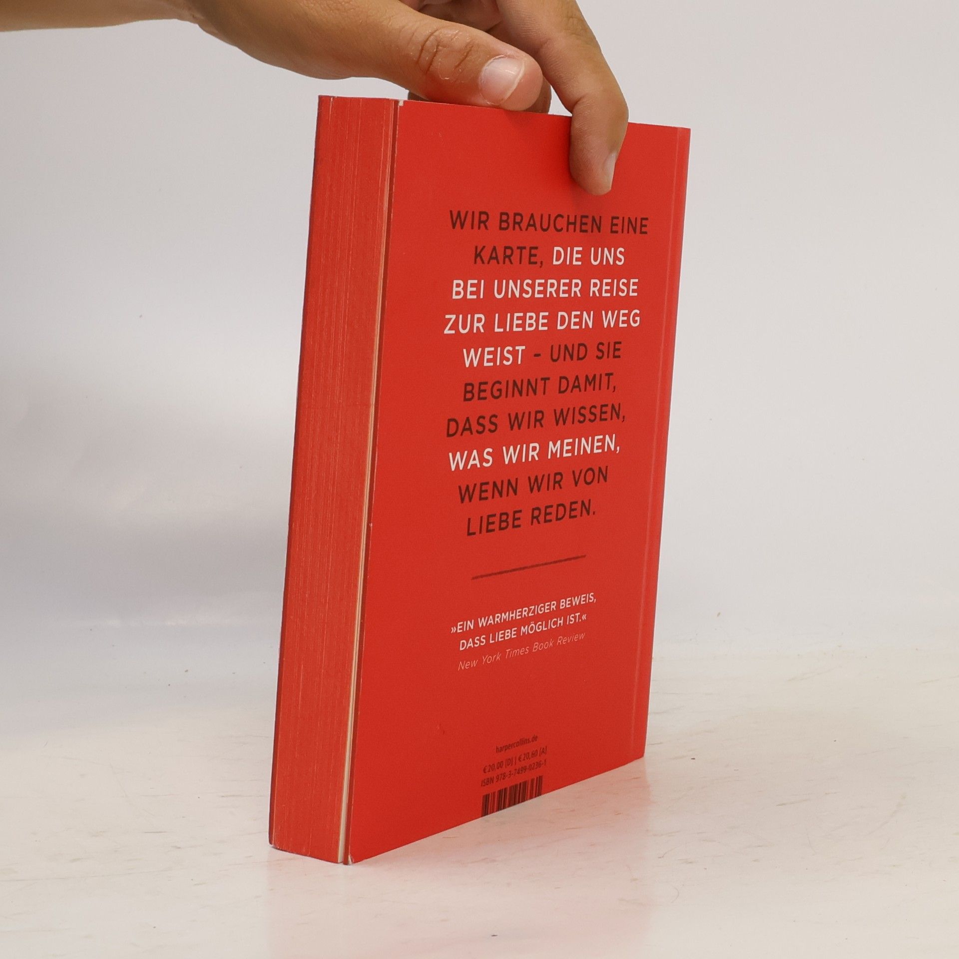 Bell hooks Alles über Liebe