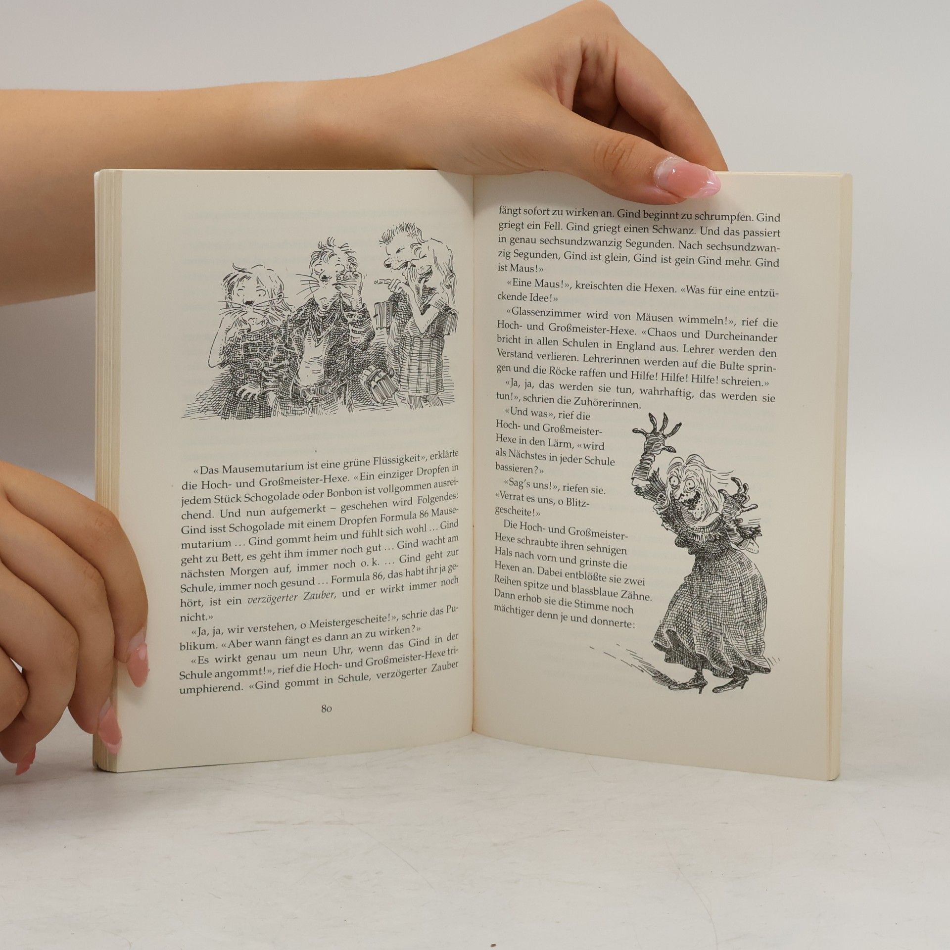 Roald Dahl Hexen hexen