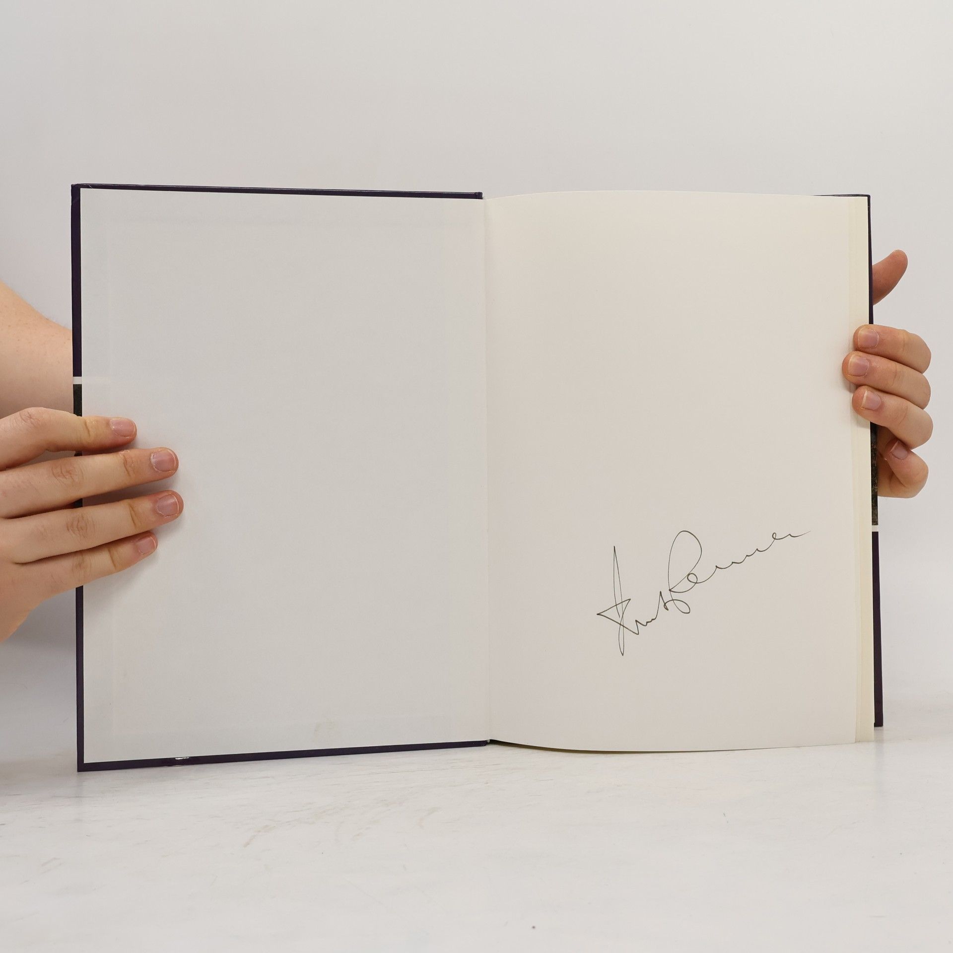 Otto Kimminich Mit Realismus und Leidenschaft