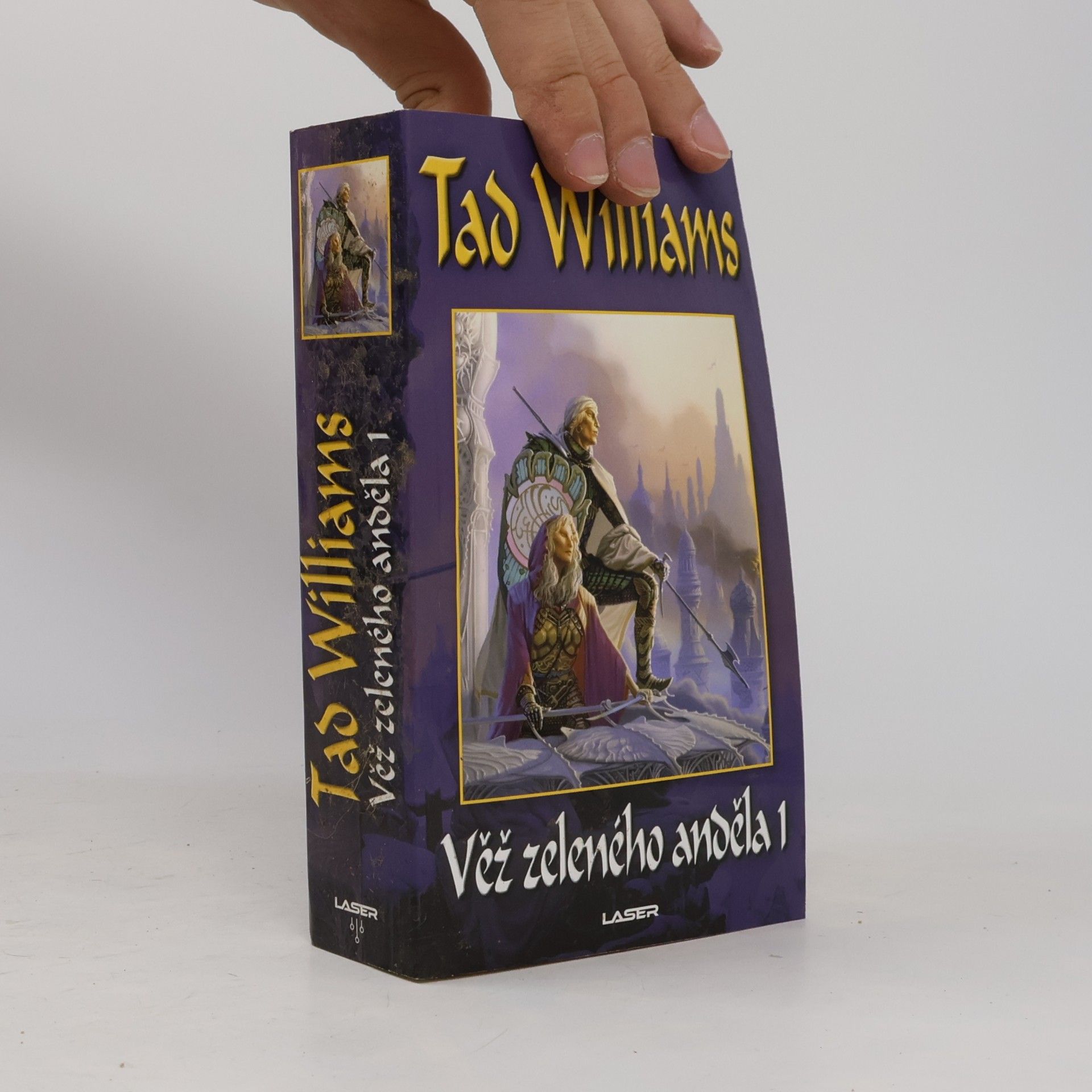 Tad Williams Věž Zeleného anděla 1. (Jasný osten, žal a trn. Třetí kniha trilogie.)