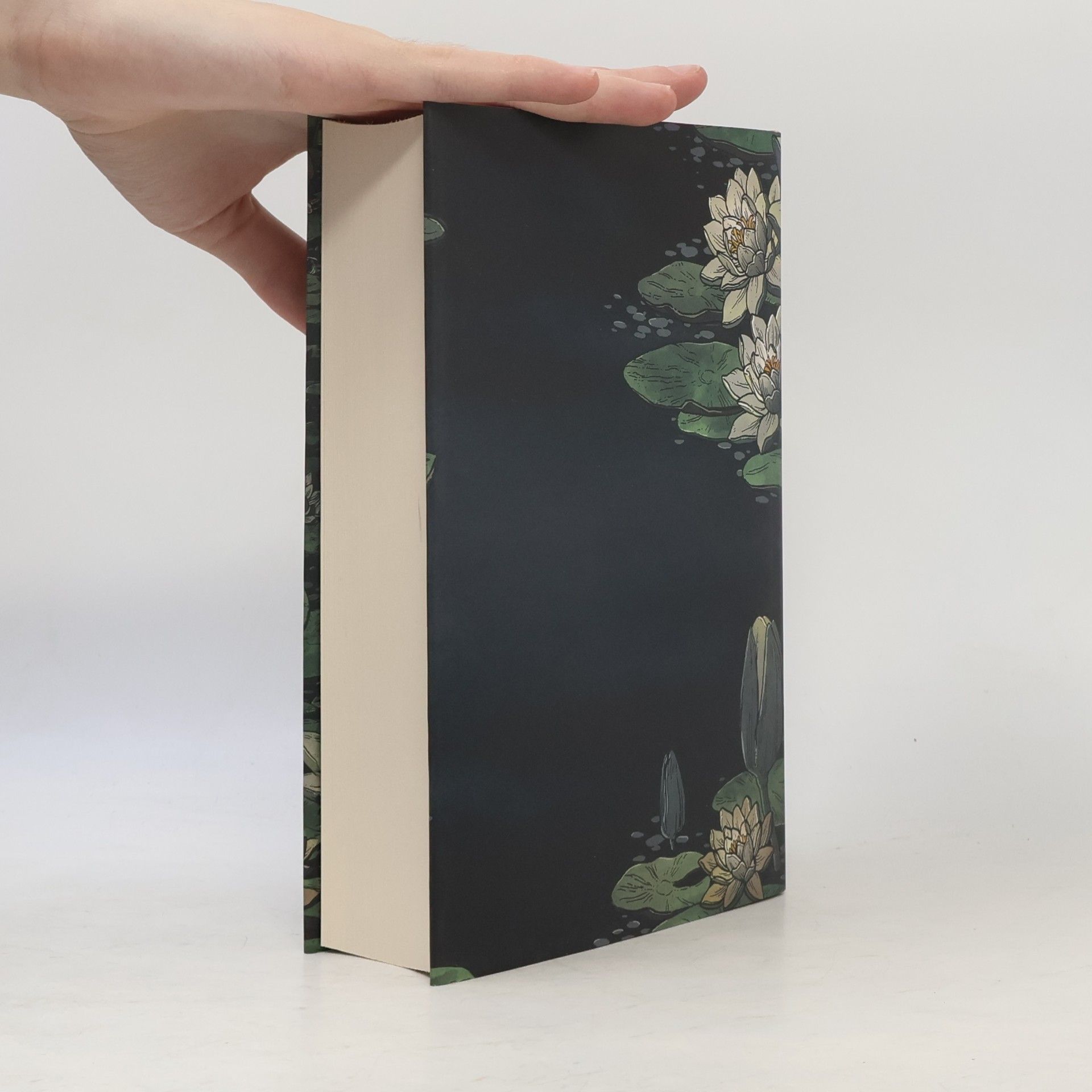 Allison Saft A Dark and Drowning Tide