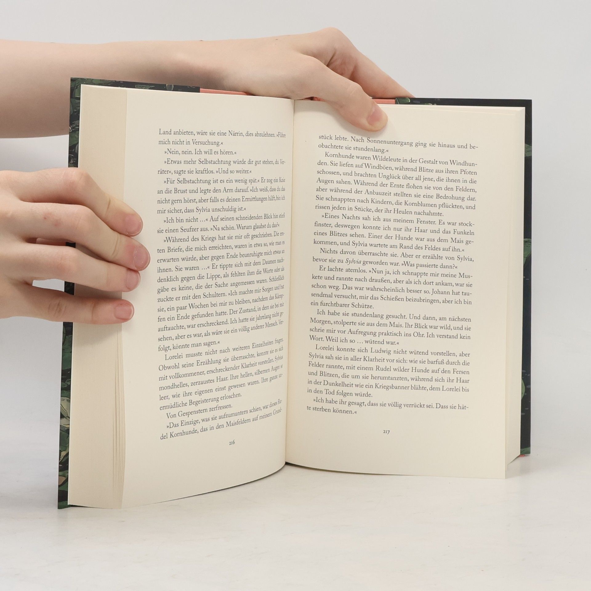 Allison Saft A Dark and Drowning Tide