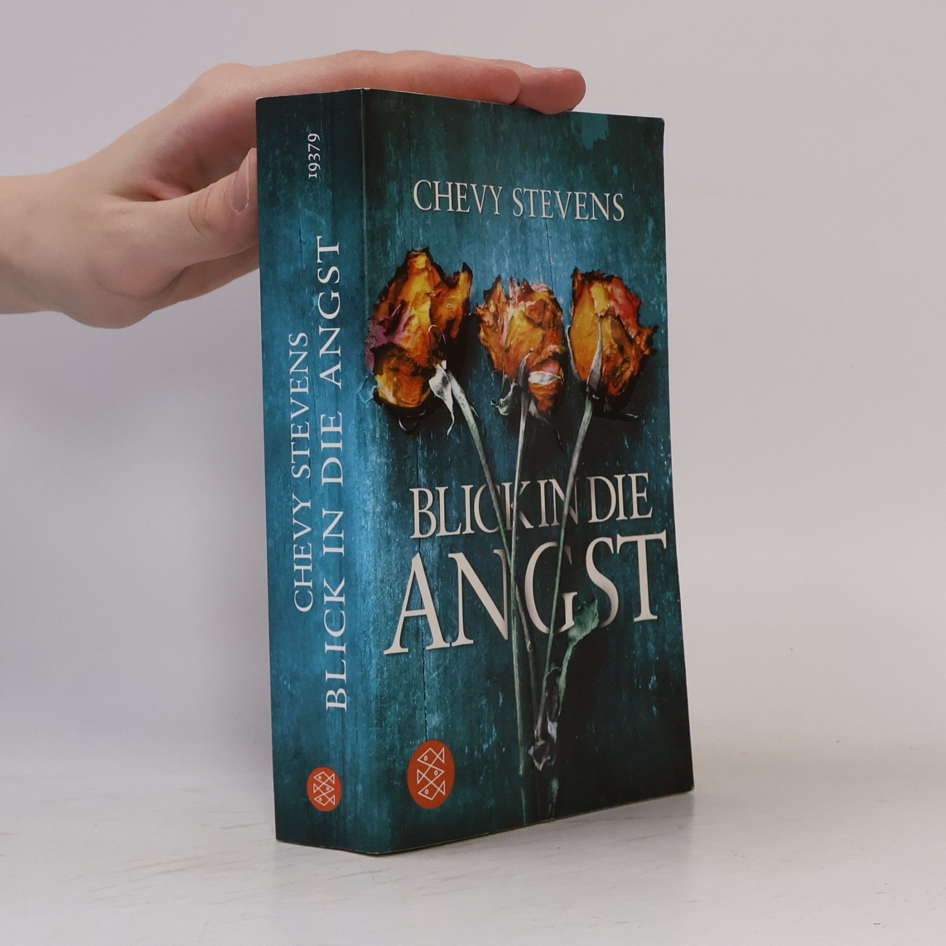 Chevy Stevens Blick in die Angst