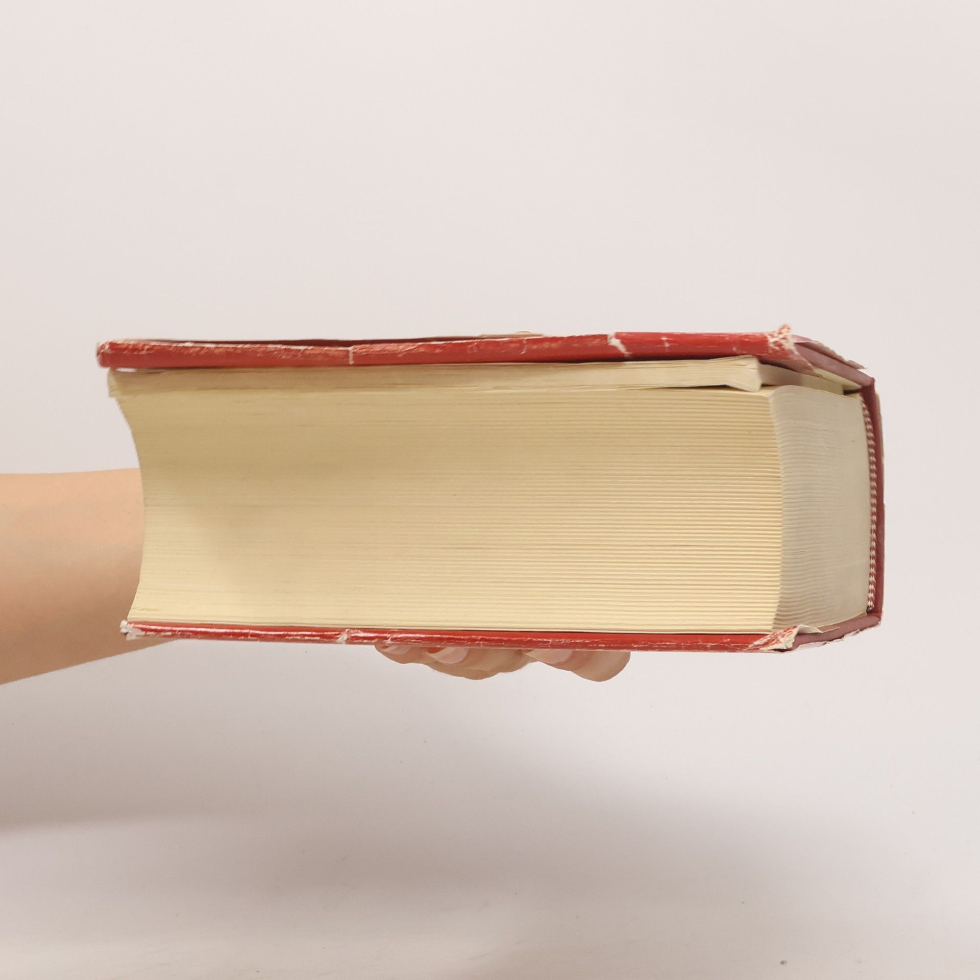 Autorenkollektiv Das österreichische Bundesverfassungsrecht