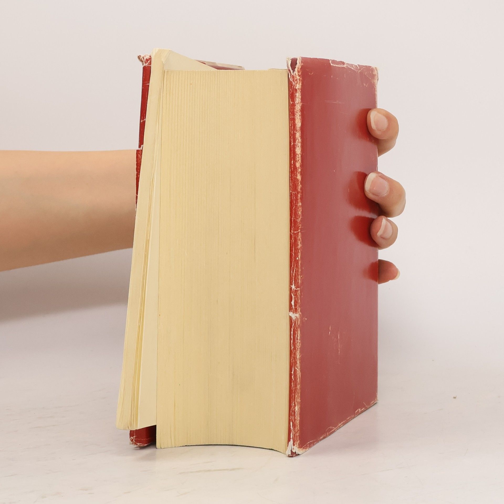Autorenkollektiv Das österreichische Bundesverfassungsrecht