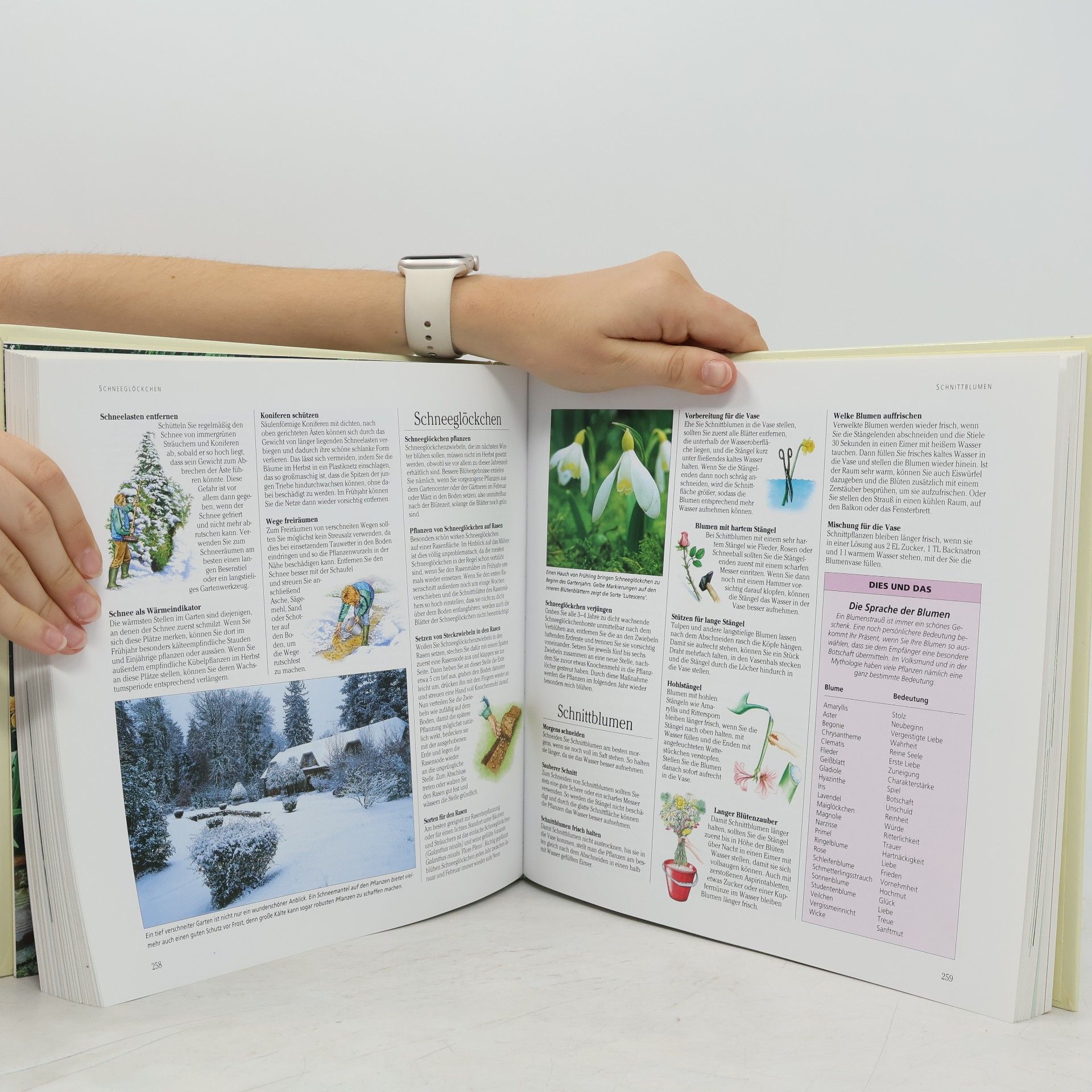 Collectif d'auteurs 1001 Tipps und Tricks rund um den Garten