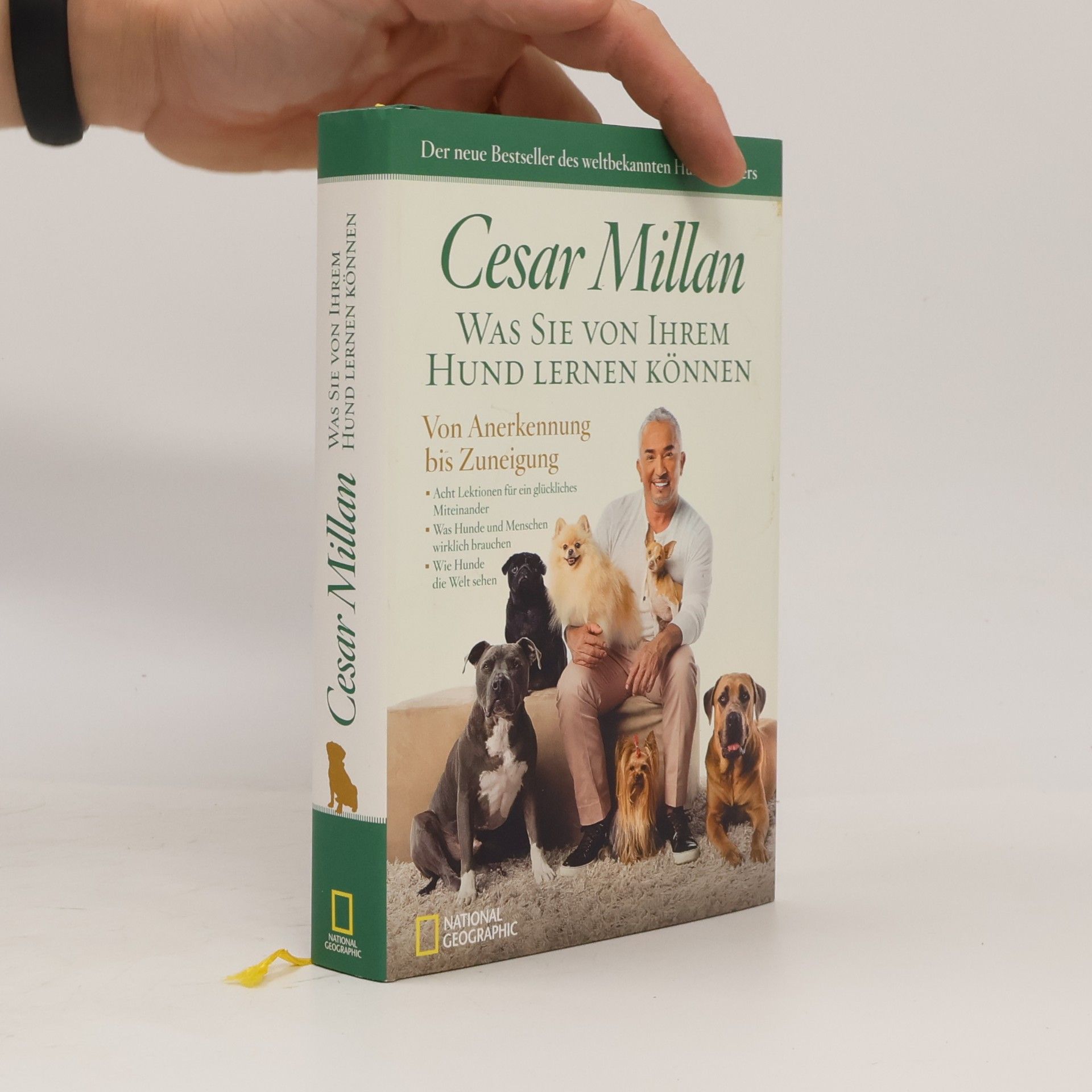 Cesar Millan Was Sie von Ihrem Hund lernen können