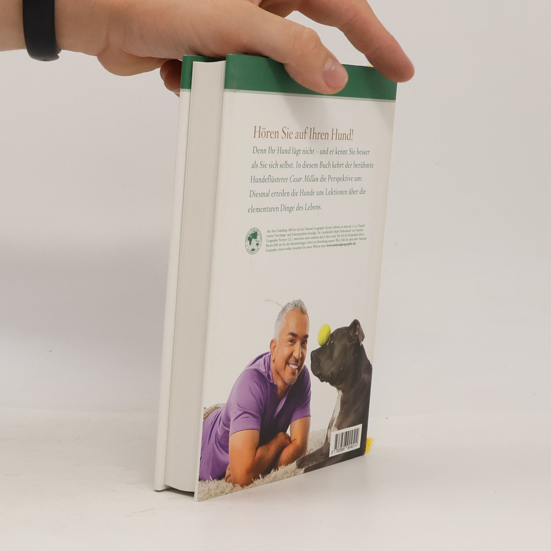 Cesar Millan Was Sie von Ihrem Hund lernen können