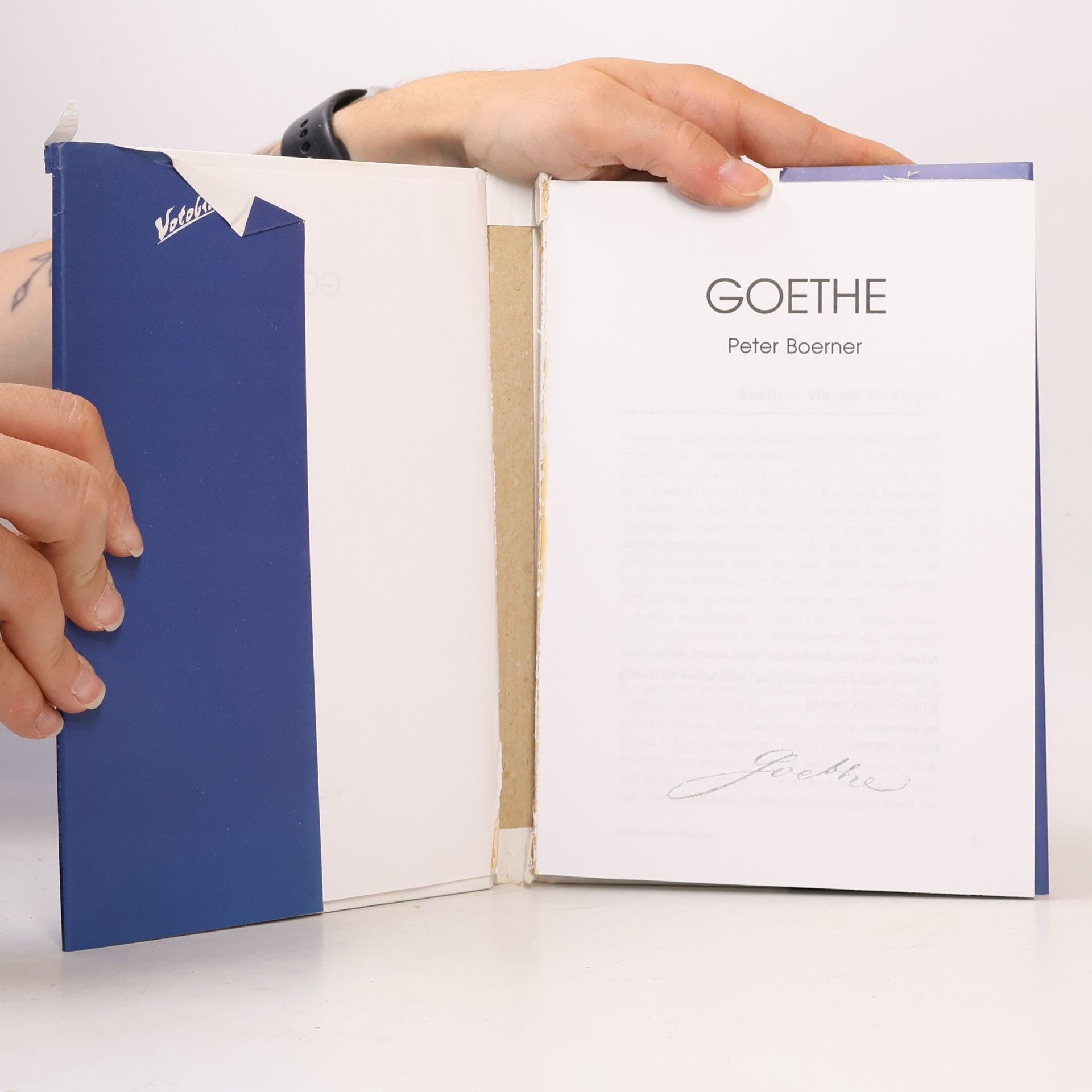 Peter Boerner Goethe