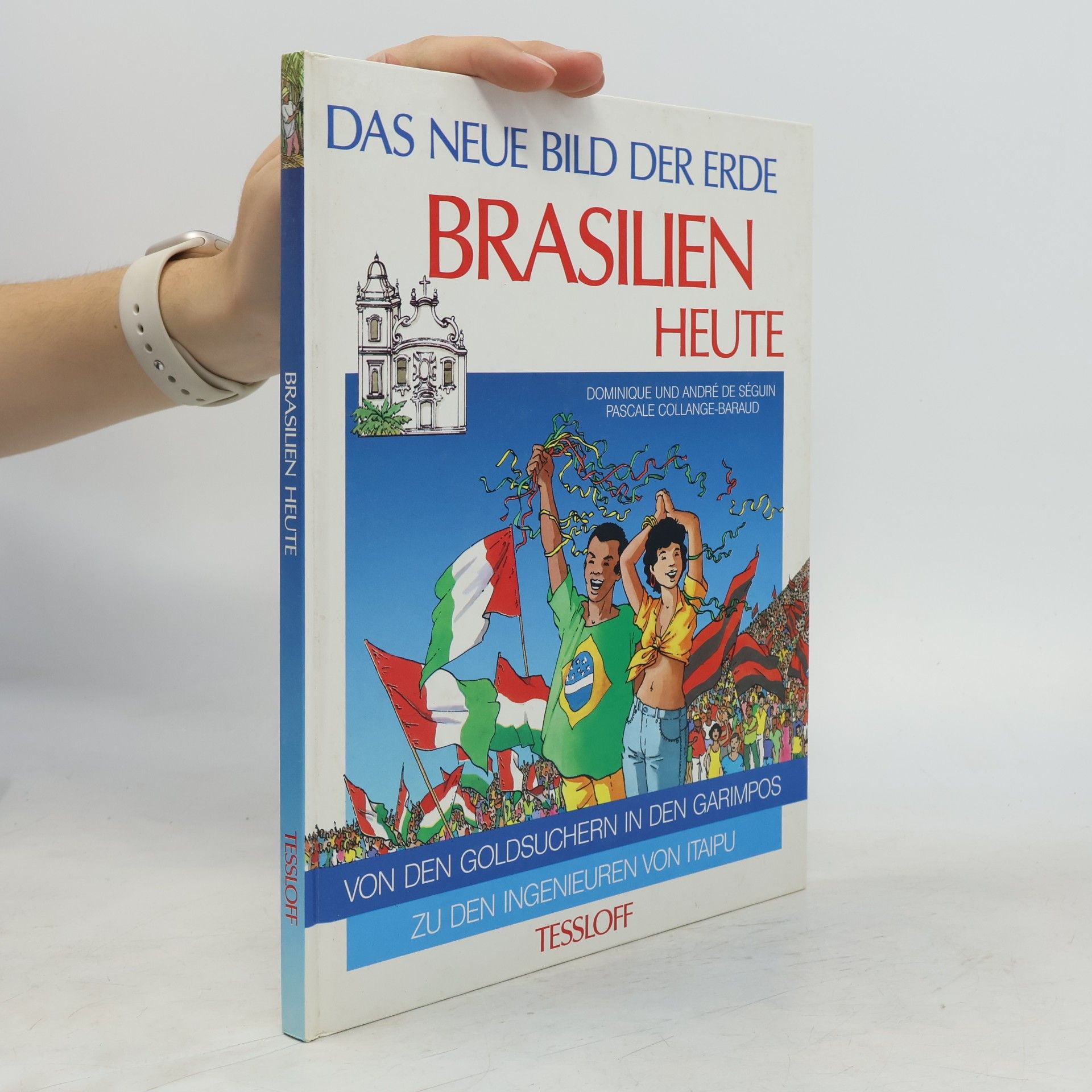 Pascale Collange-Baraud Das neue Bild der Erde Brasilien heute