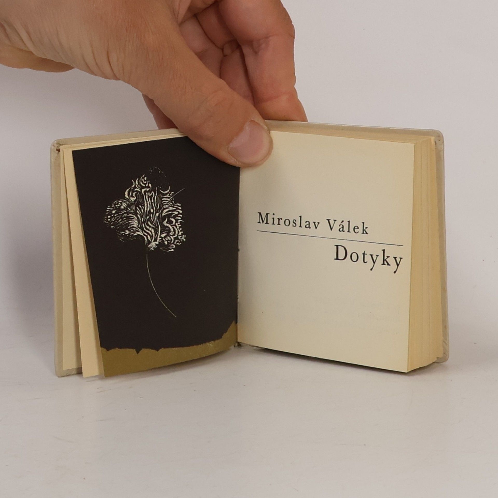 Miroslav Válek Dotyky