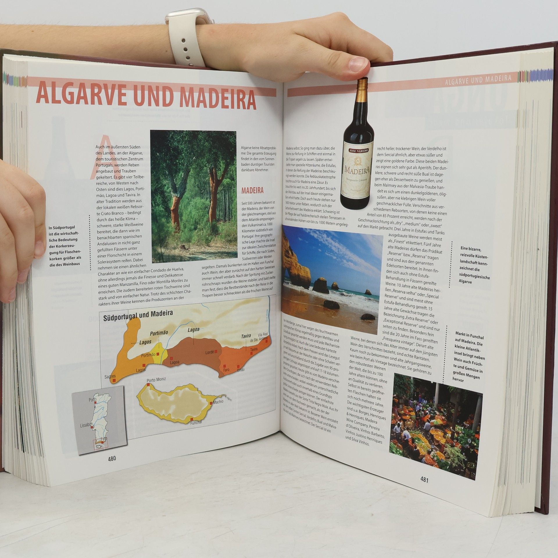 Various authors Wein Enzyklopädie