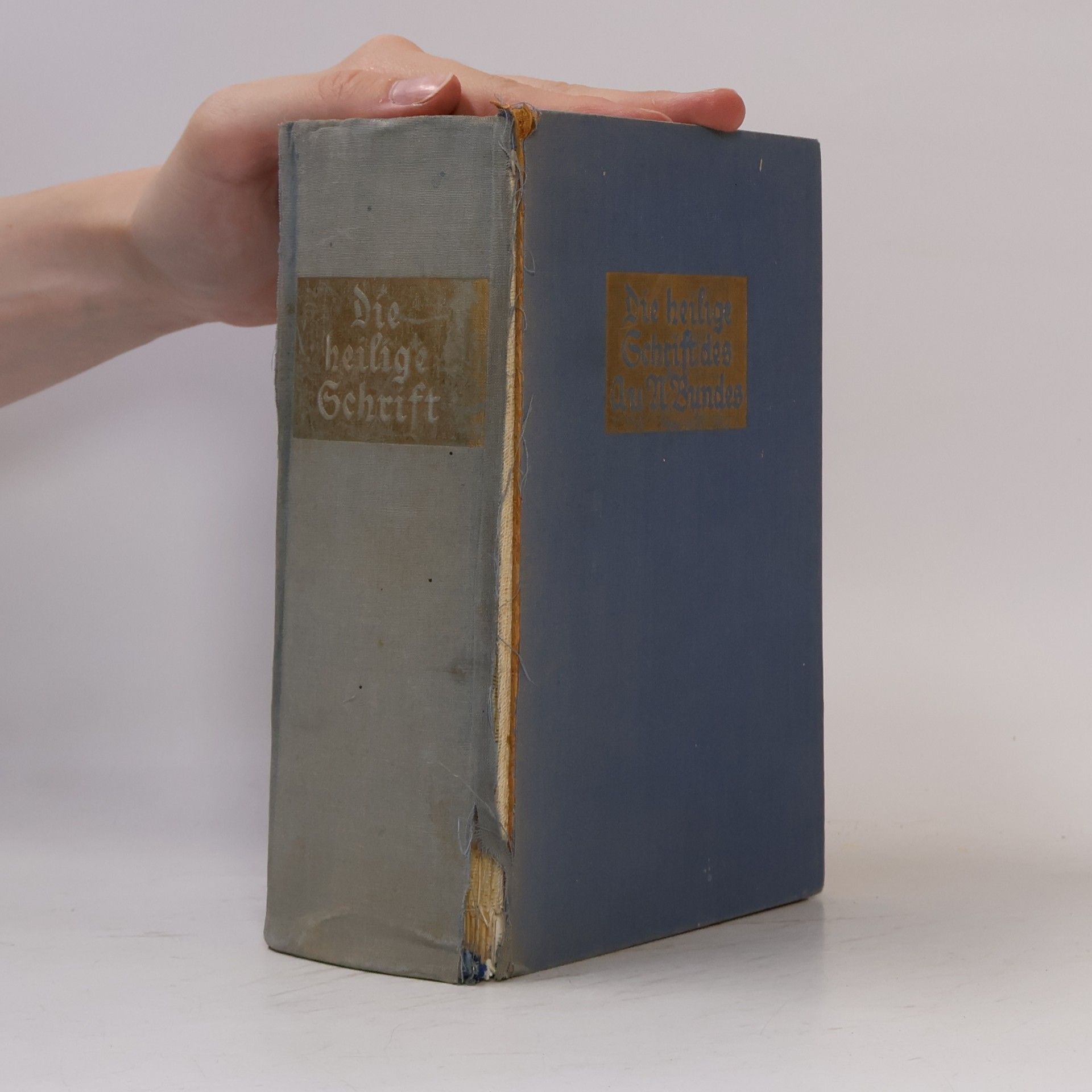 Die heilige Schrift des Alten Bundes 1