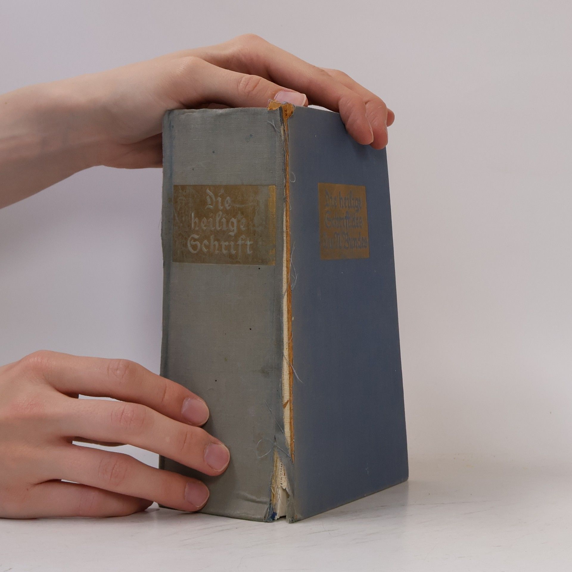 Pius Parch Die heilige Schrift des Alten Bundes 1