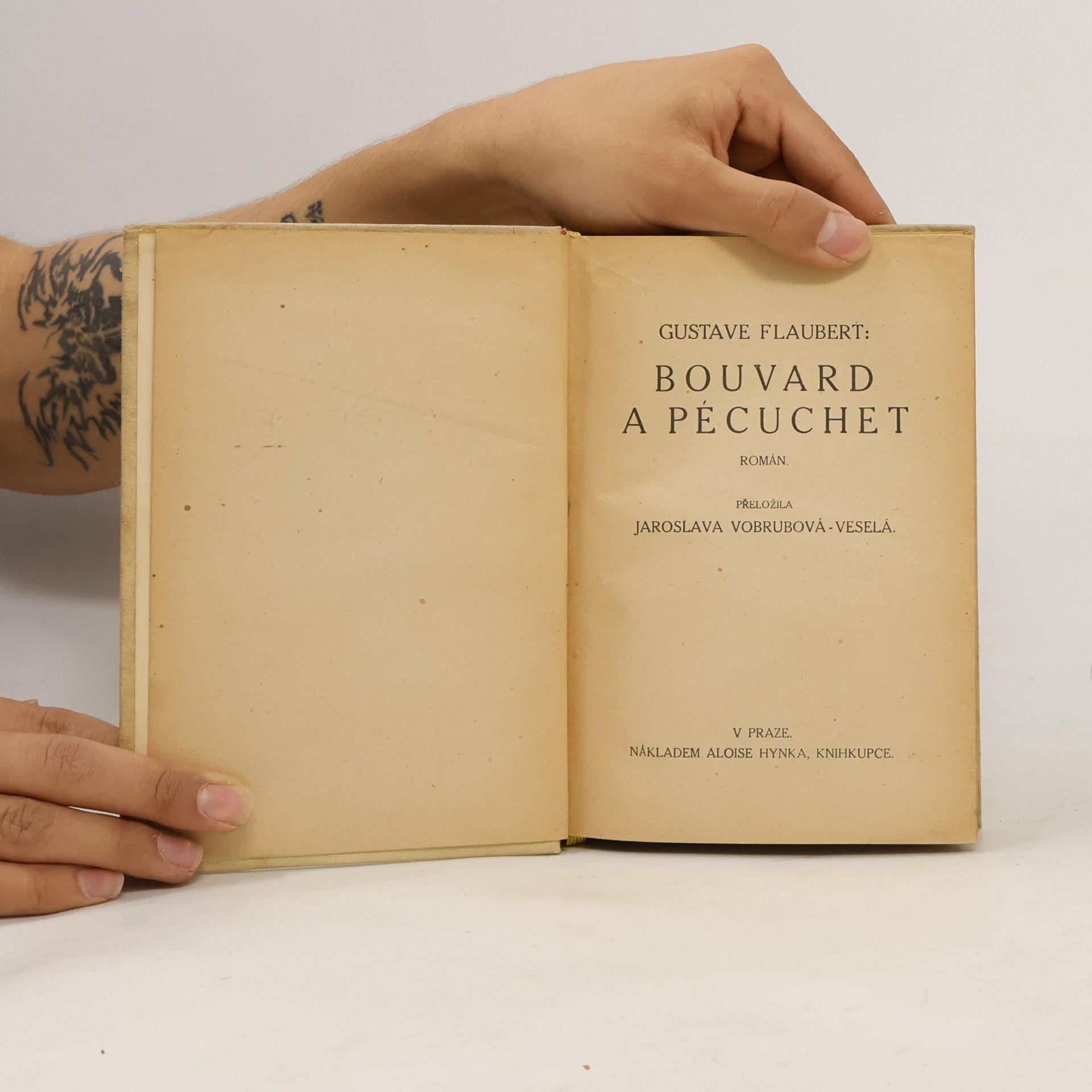 Gustave Flaubert Bouvard a Pécuchet