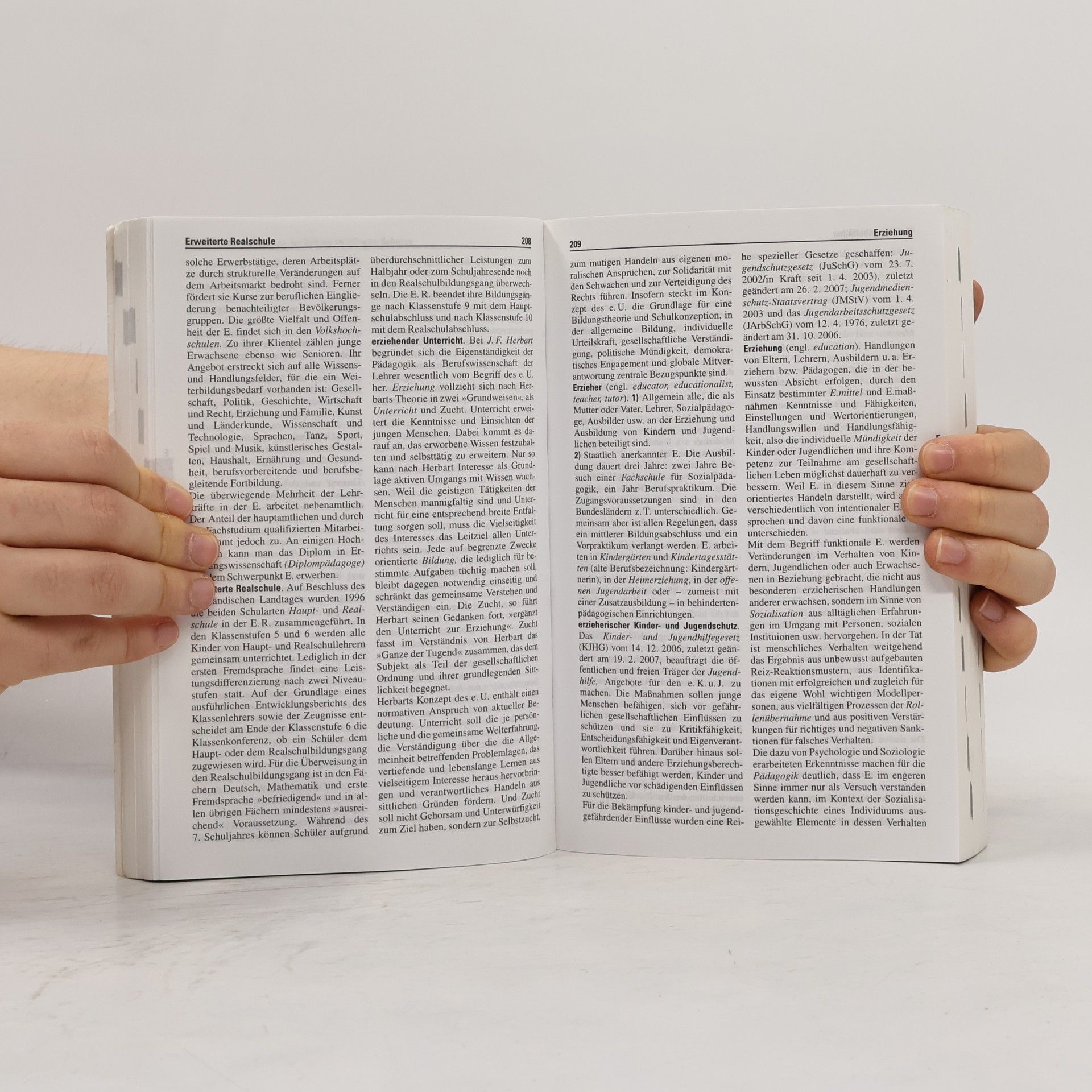 Horst Schaub Wörterbuch Pädagogik