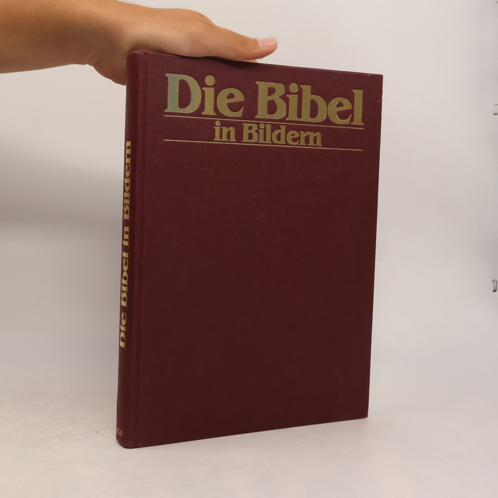 Autorenkollektiv Die Bibel in Bildern. Schatzkammer der Malerei