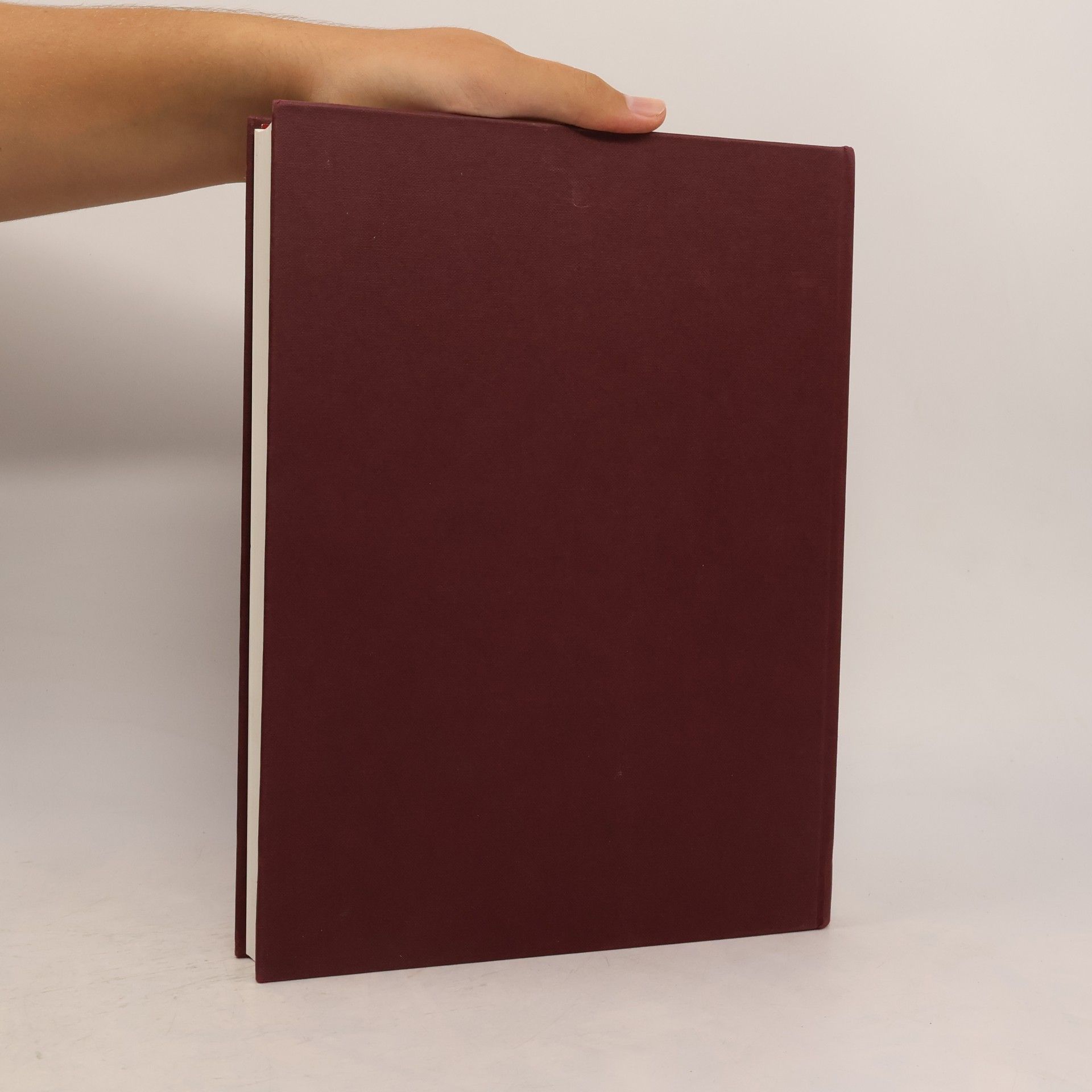Autorenkollektiv Die Bibel in Bildern. Schatzkammer der Malerei