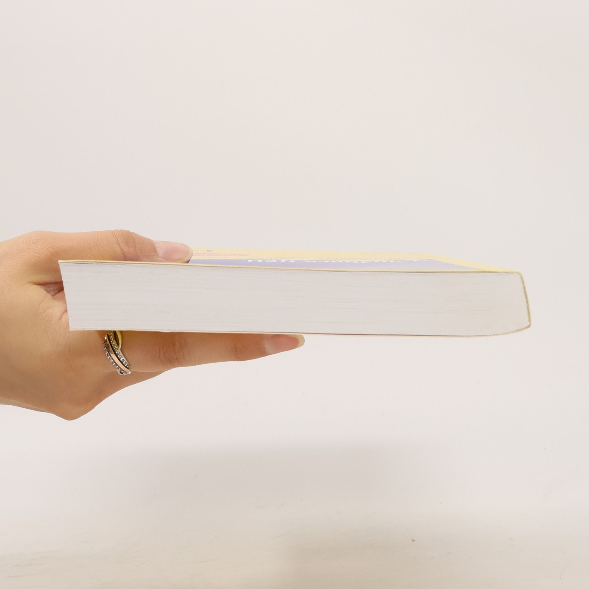 Reinhard Bayer Grundbuch NEU