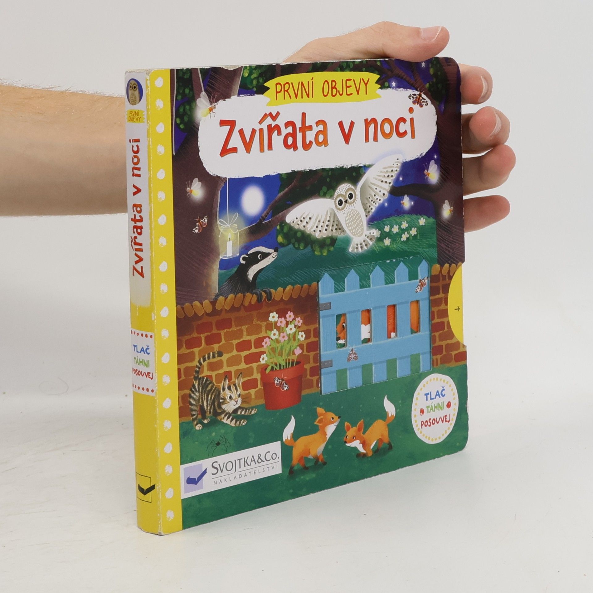 Jenny Wren První objevy: Zvířata v noci
