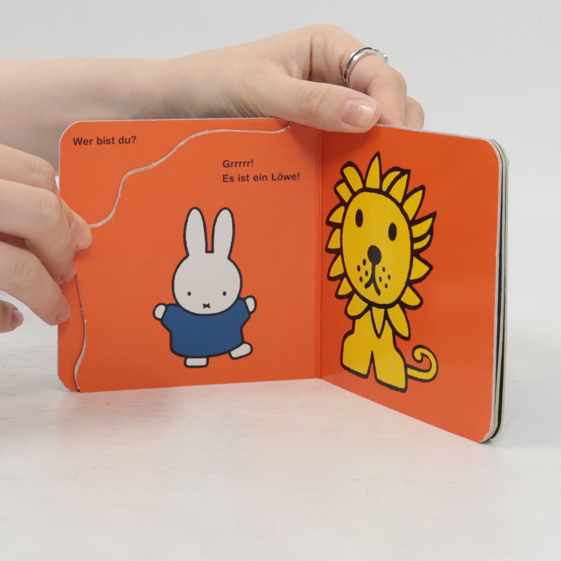 Dick Bruna Wer ist das im Zoo, Miffy?