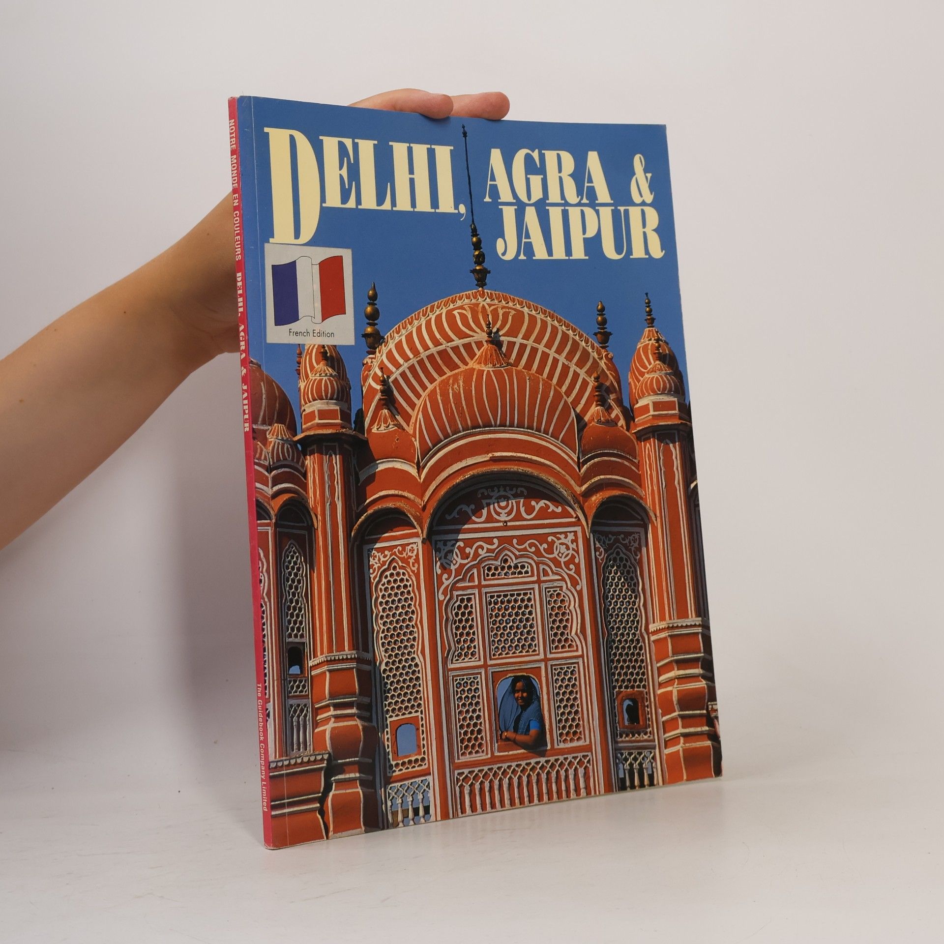 Steve Vidler Notre Monde en Couleurs: Delhi, Agra & Jaipur